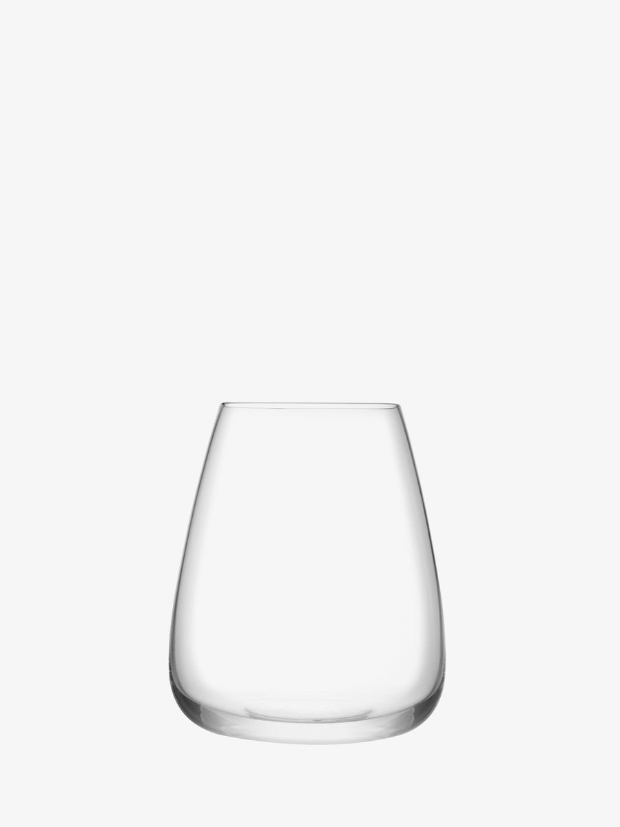 A clear, empty lsa-international Water Glass, mouth-blown and stemless with a wide base and gently curved sides, sits on a plain white background, embodying the elegance of modern glassware.