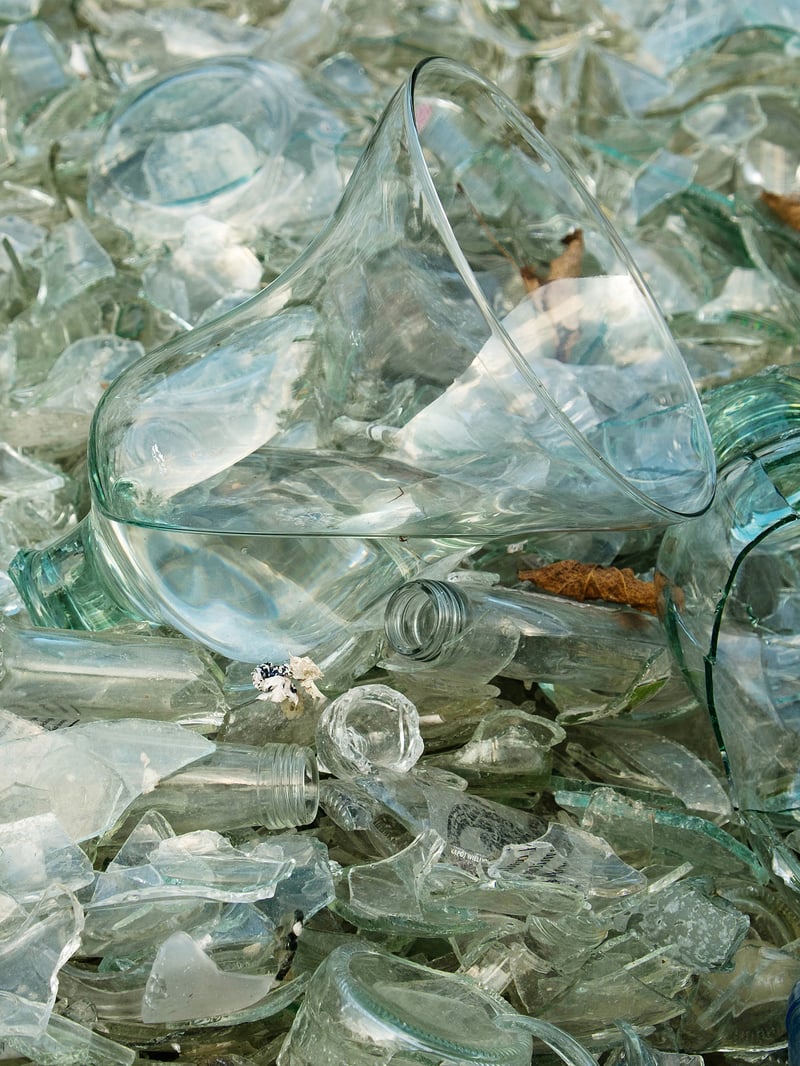 Canopy Collection LSA International