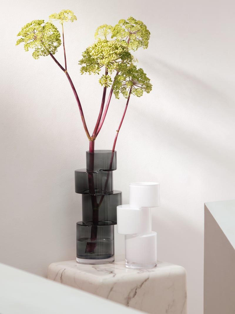 Tier Collection LSA International