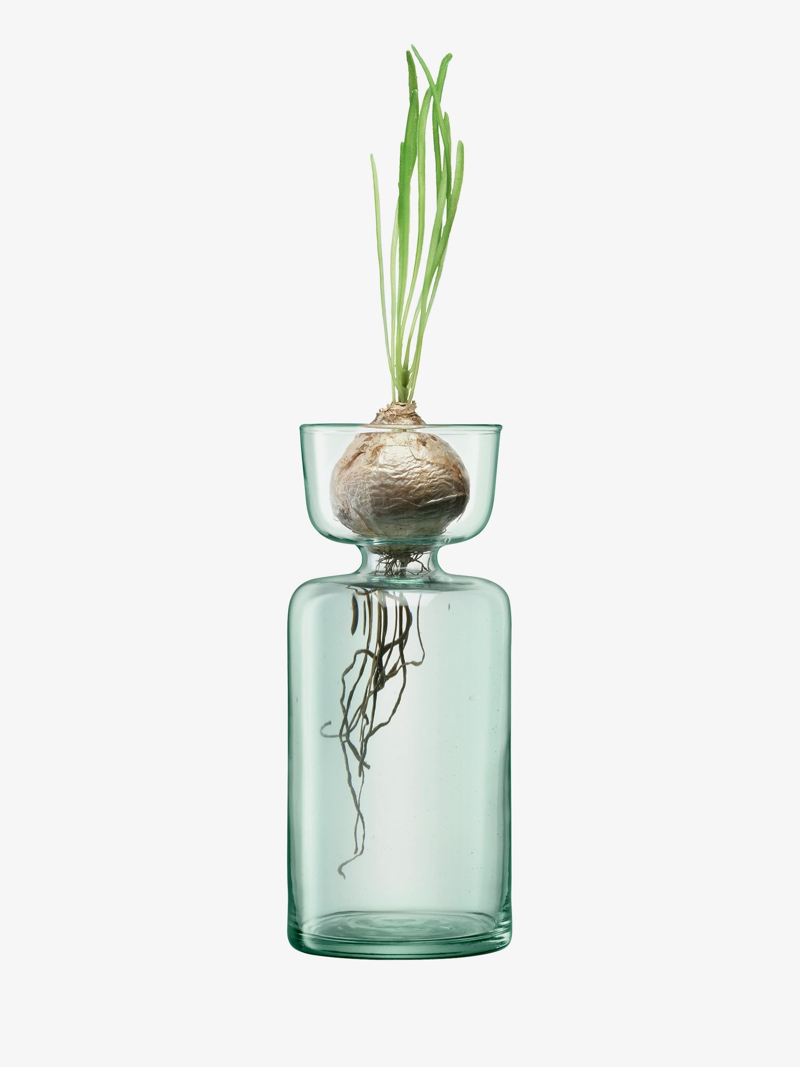 Canopy Vase/Bulb Planter