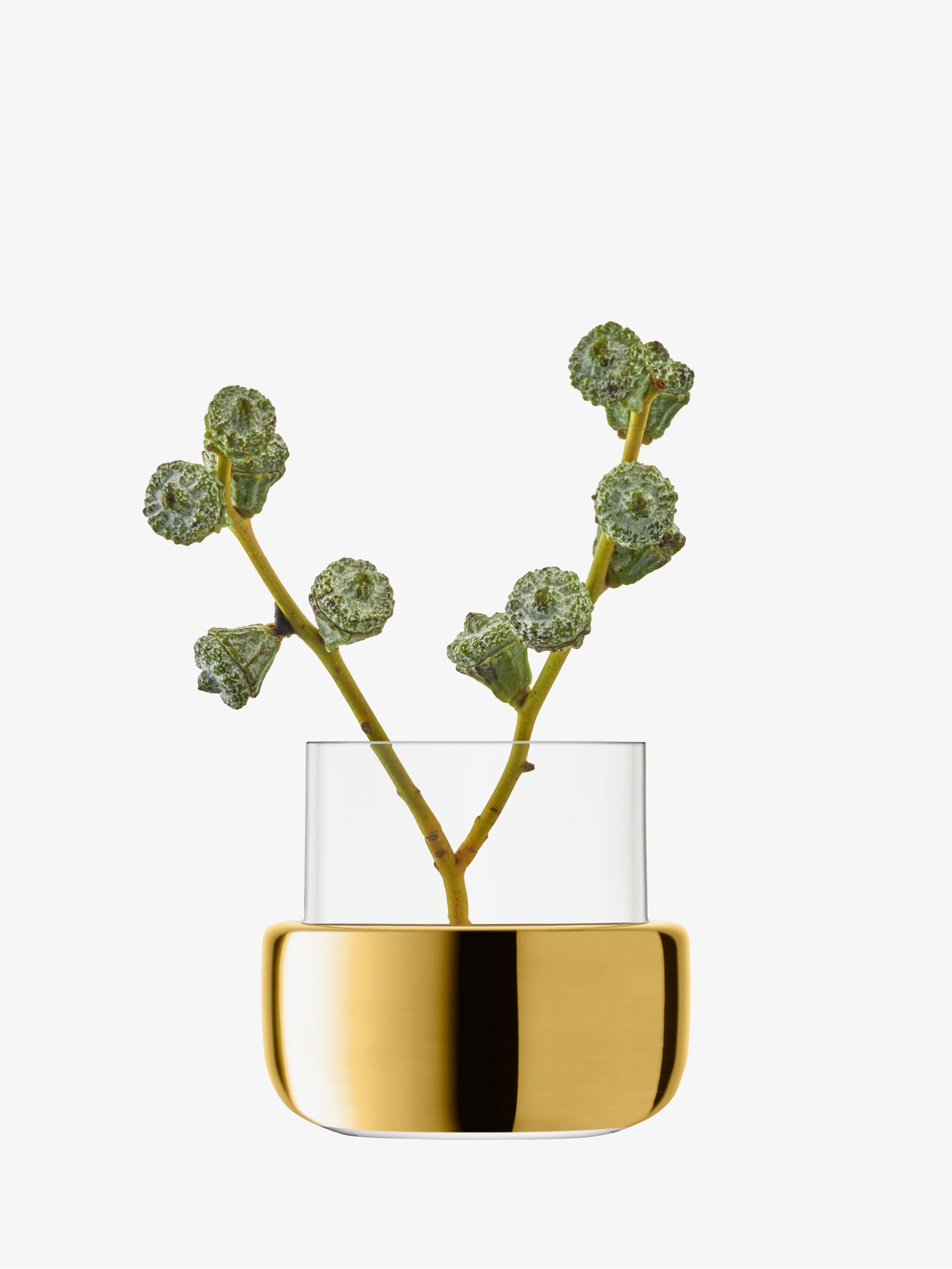 Votive Holder/Vase H3.25in, Gold Aurum LSA Interior