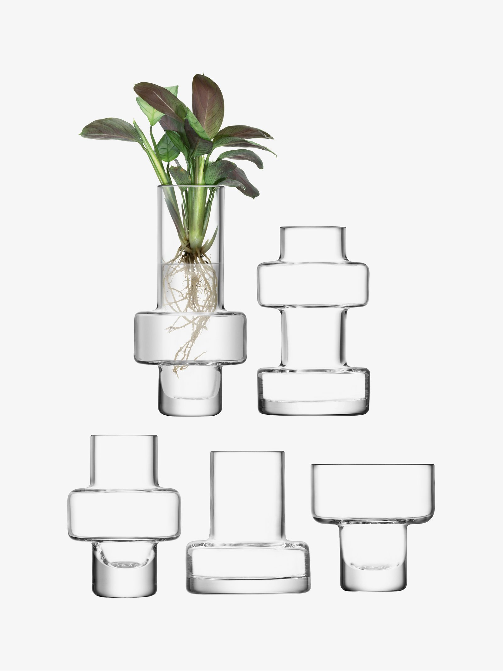 Five Mini Vase Set H15cm, Clear Metropole Collection LSA Interior