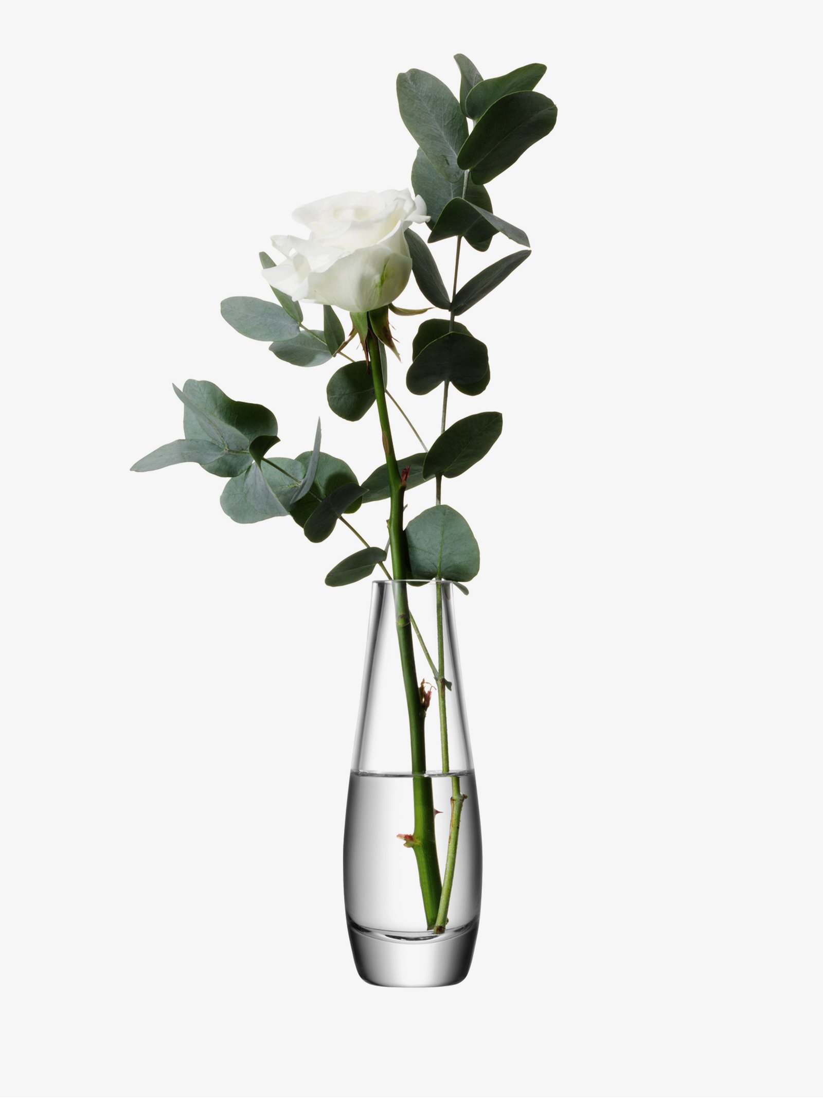 Single Stem Vase H17cm, Clear Flower Collection LSA Interior