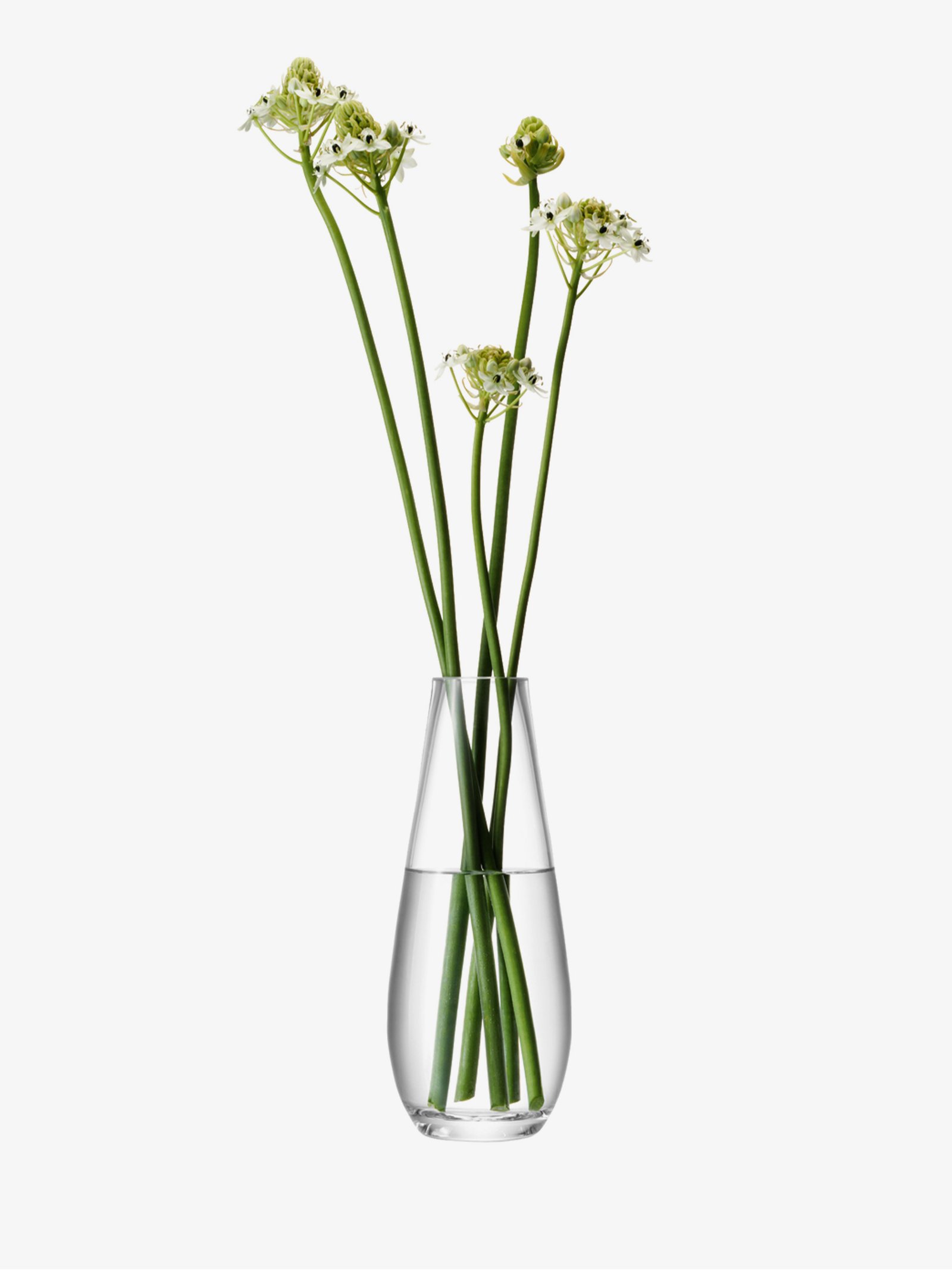 Tall Stem Vase H29cm, Clear Flower Collection LSA Interior