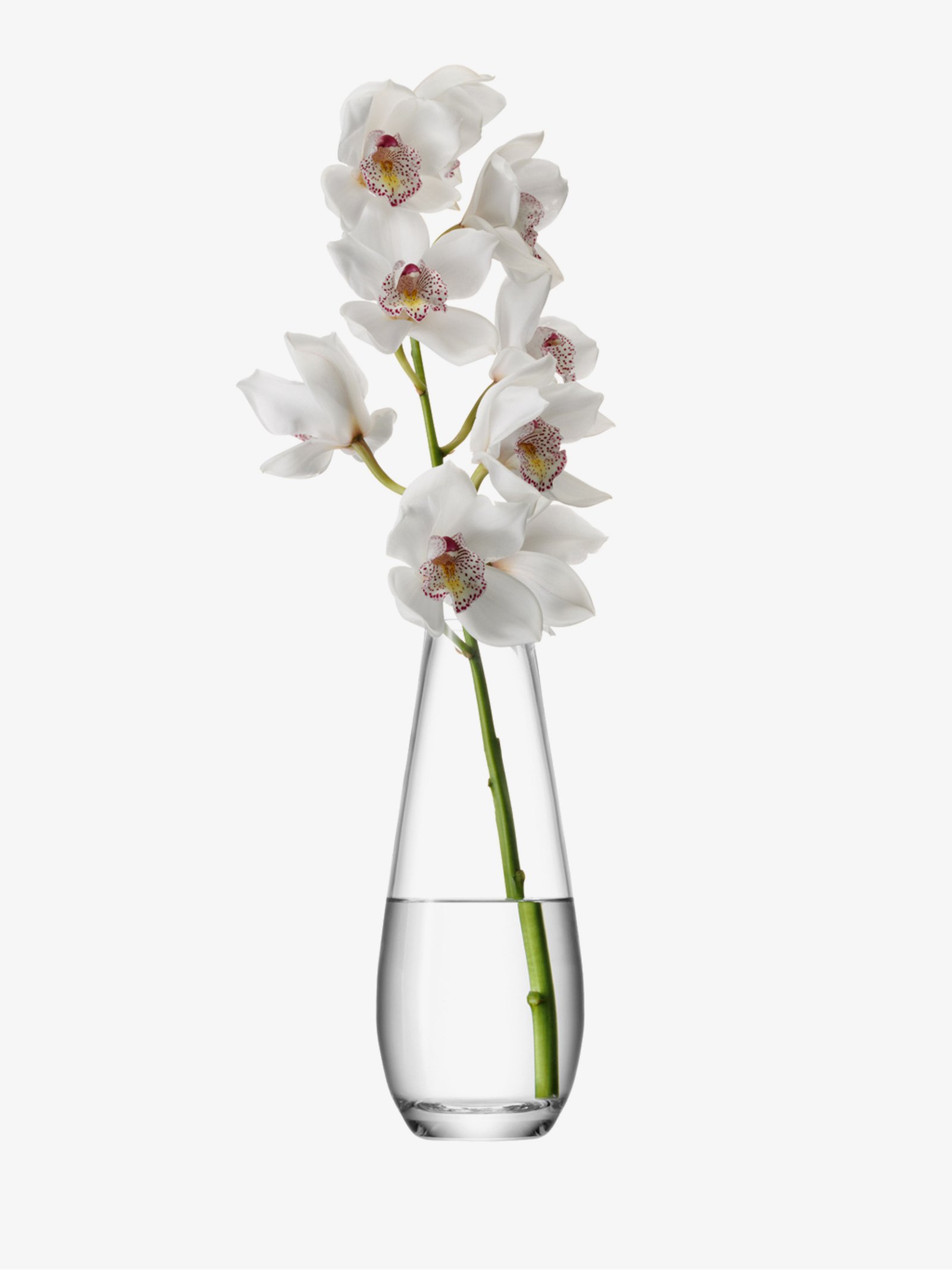 Tall Stem Vase H29cm, Clear Flower Collection LSA Interior