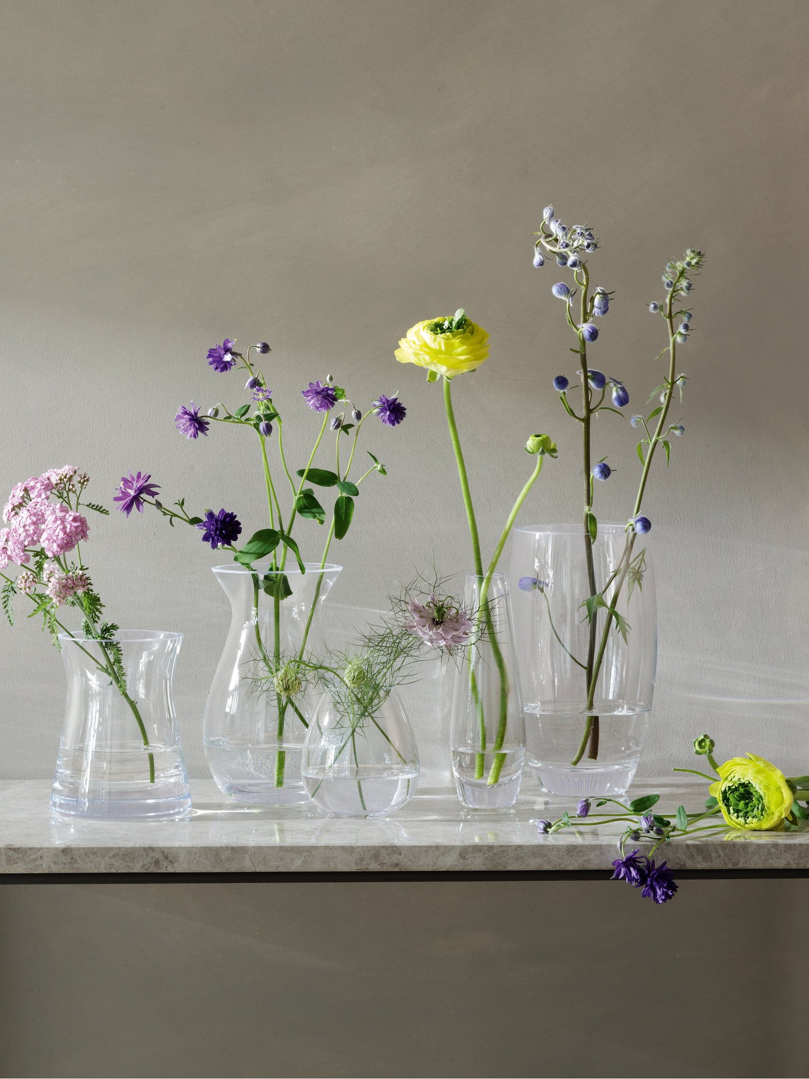 Tall Stem Vase H29cm, Clear Flower Collection LSA Interior