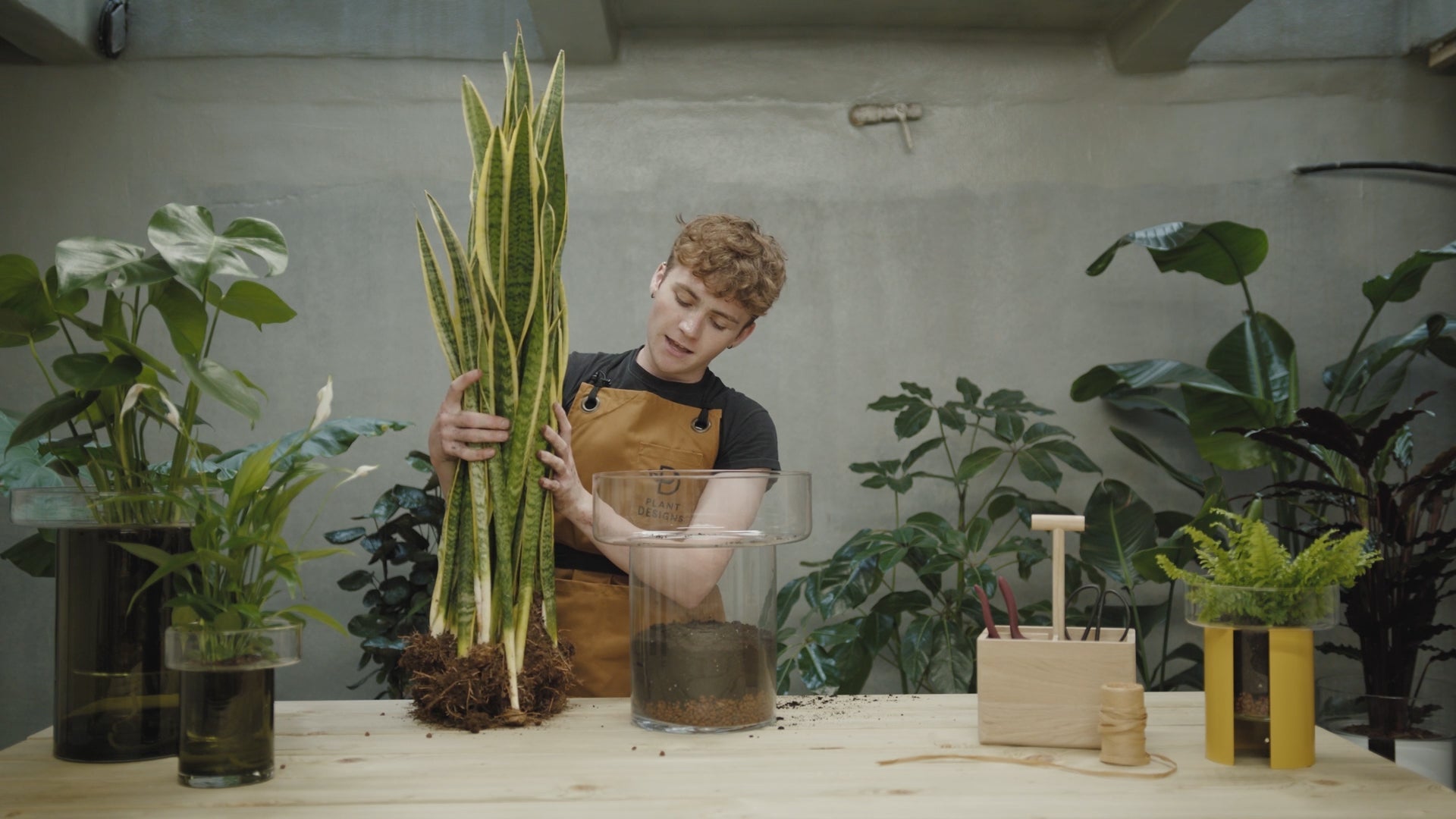 A Biophilic Planting Guide