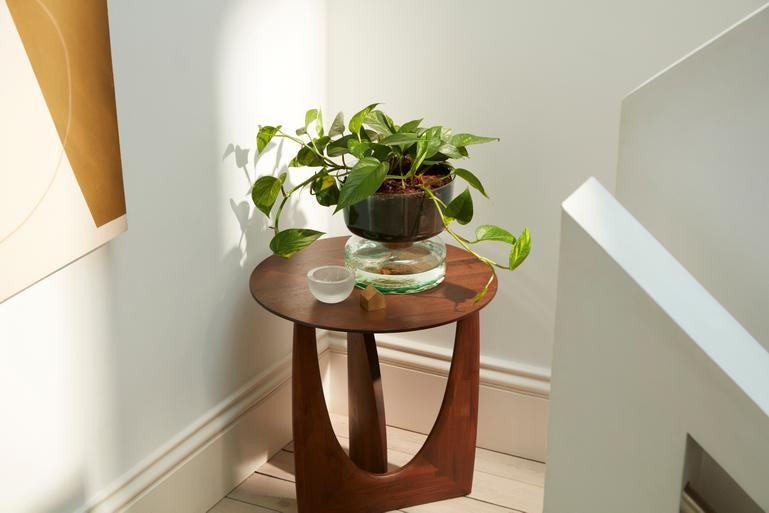 Self-Watering Planters