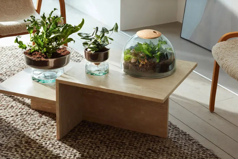 Terrariums