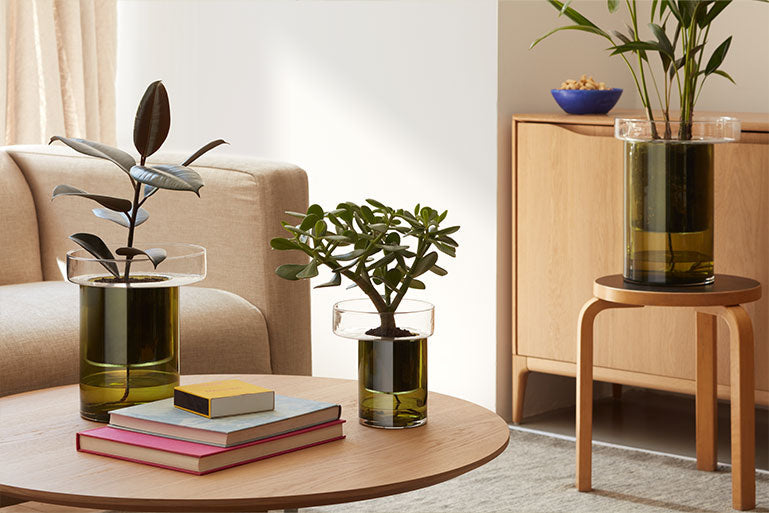Indoor Garden
