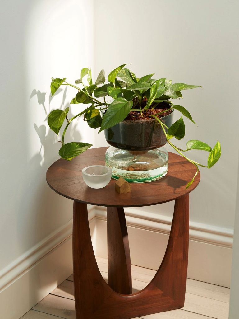 A green planter sits on a round wooden side table with a glass water bowl and small cup, set in a bright room corner.