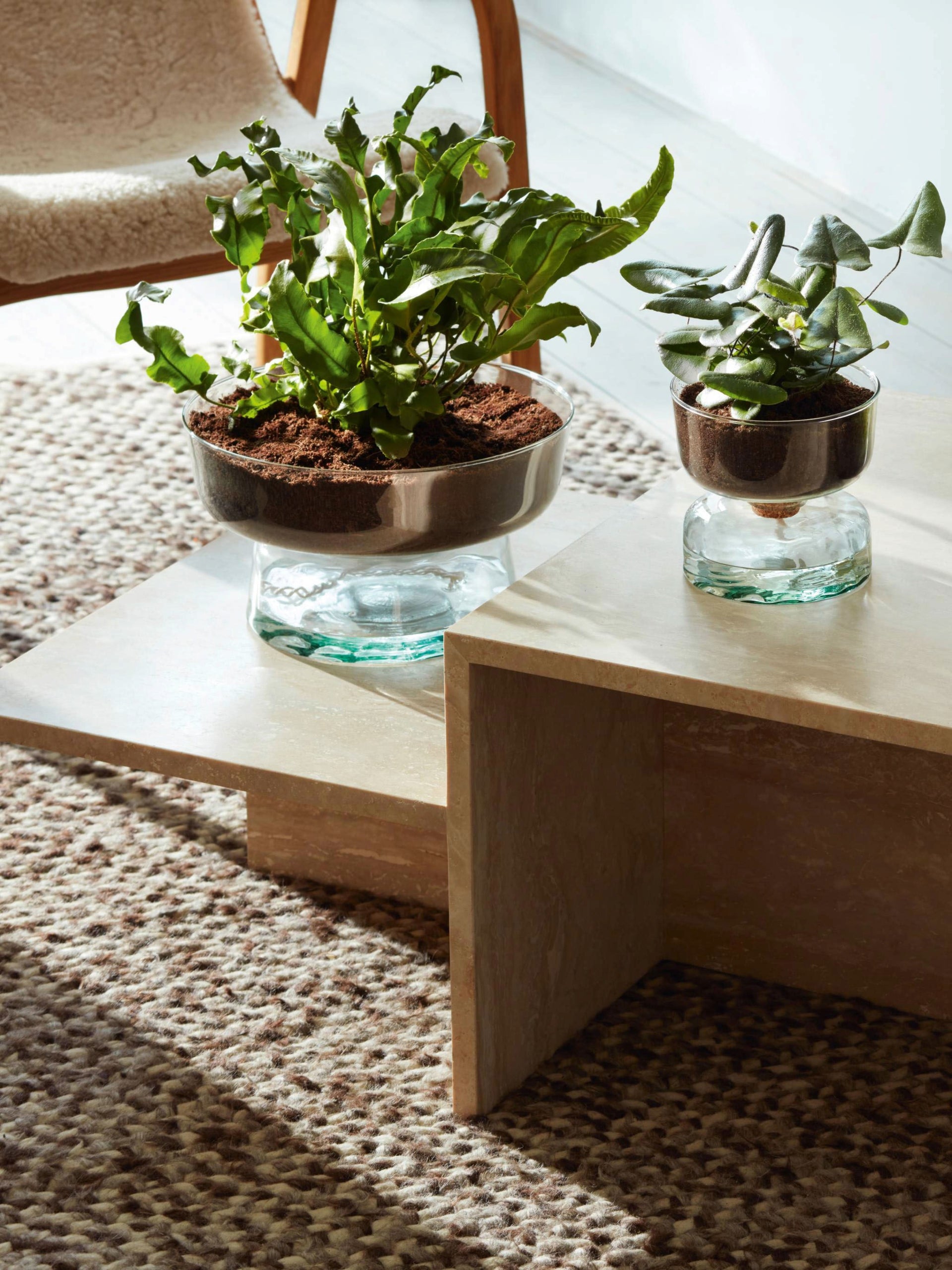 Self Watering Planter Clear/Part Optic