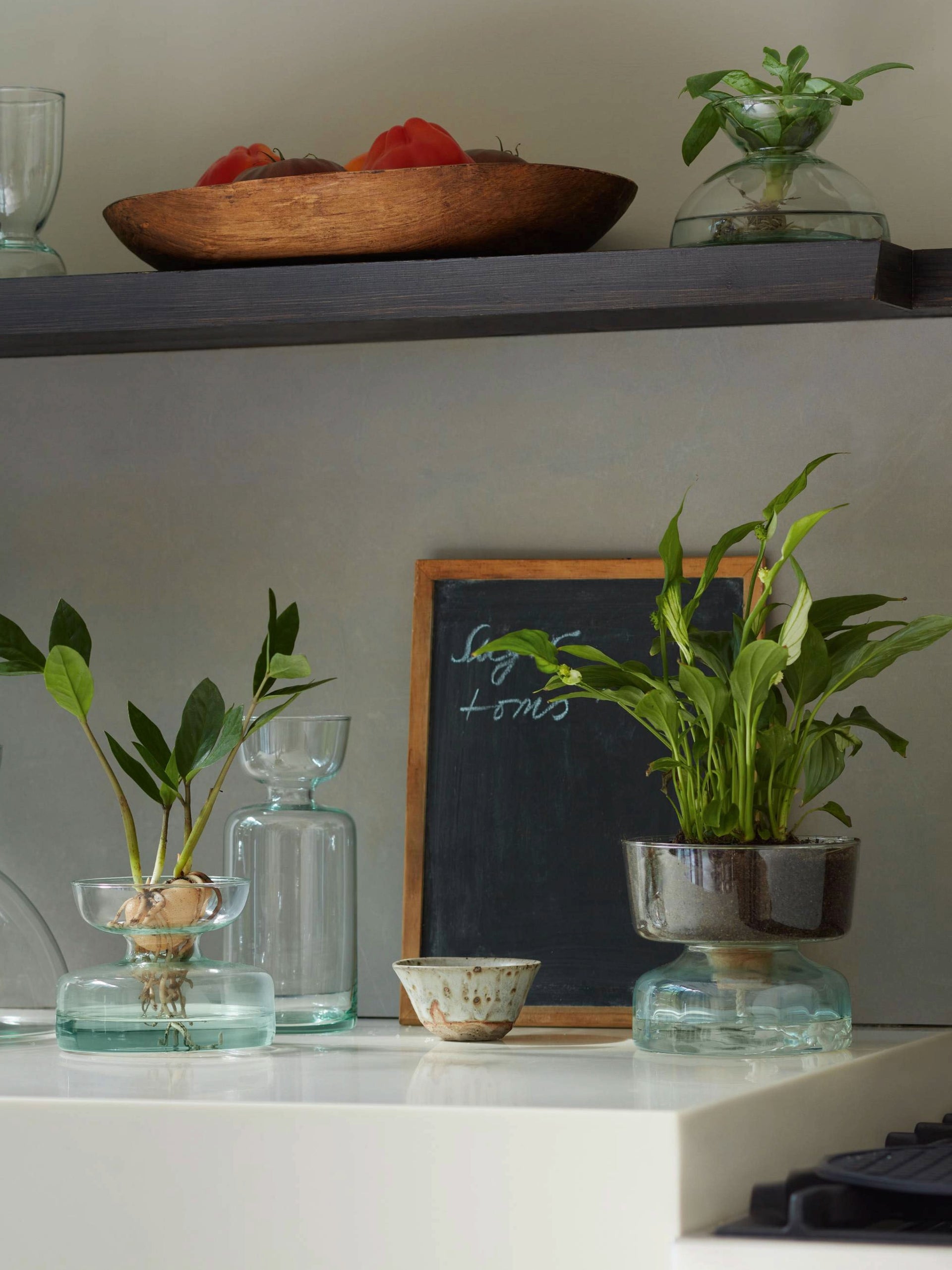 Self Watering Planter Clear/Part Optic