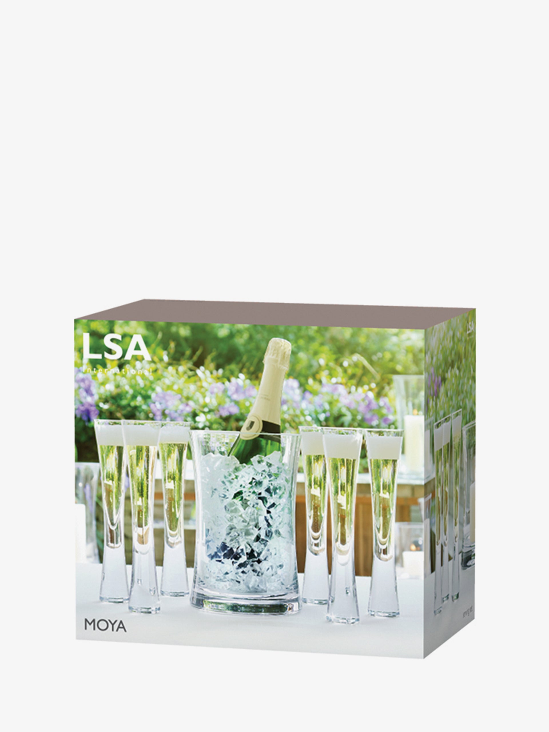 Champagne Serving Set