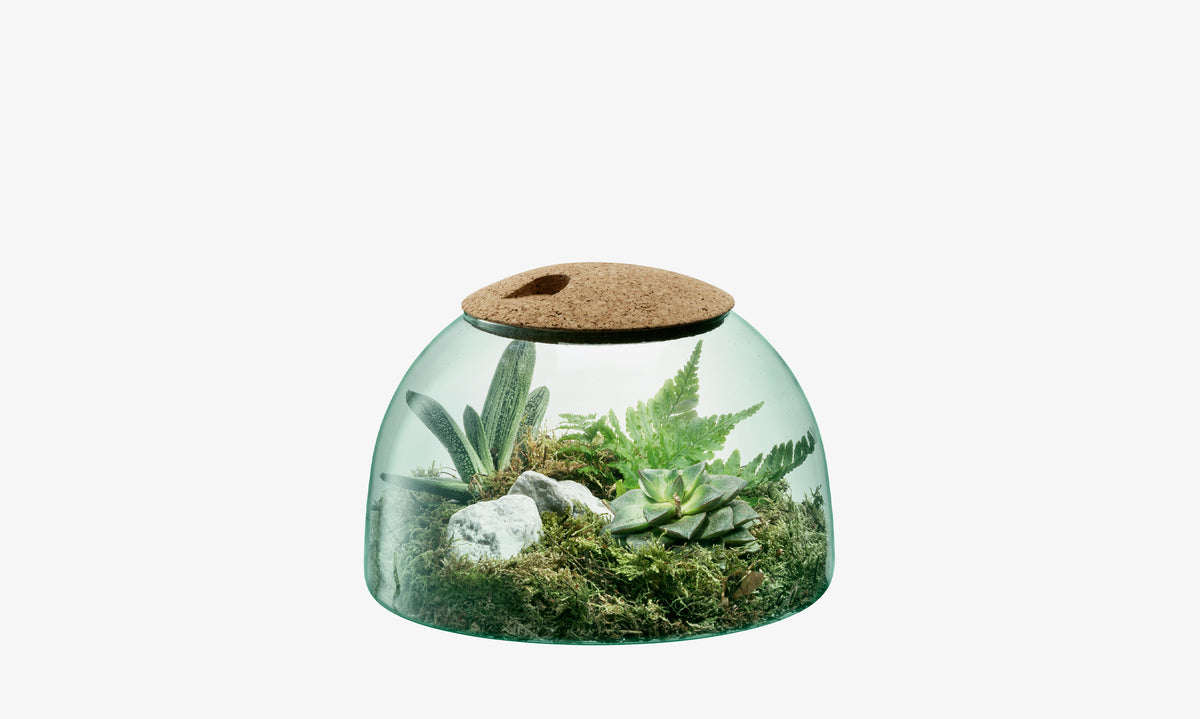 The Closed Garden by lsa-international is a dome-shaped planter crafted from recycled glass, featuring a cork lid and showcasing an artfully arranged self-sustaining ecosystem of green ferns, succulents, moss, and white rocks against a white background.