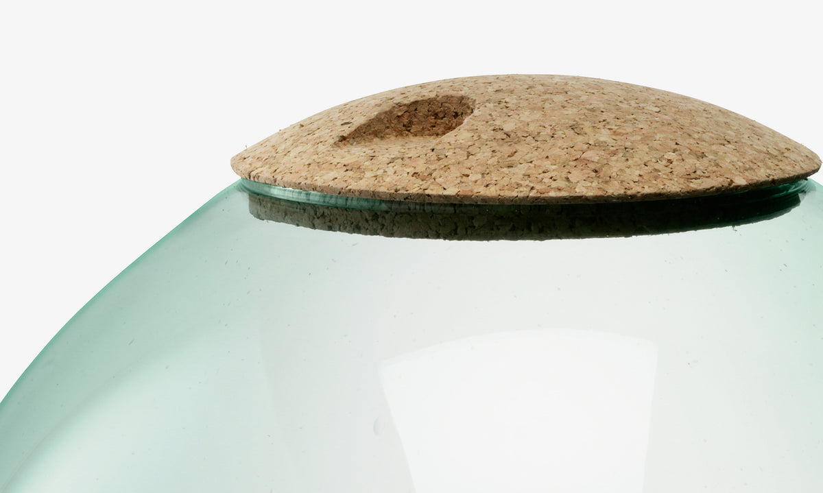 A close-up of the lsa-international Closed Garden, a round recycled glass planter with a light brown cork lid featuring a thumb indent. The background is white.