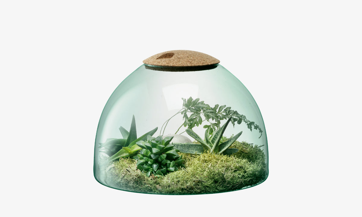 The lsa-international Closed Garden is a dome-shaped glass planter with a cork lid, featuring an arrangement of green moss, succulents, and leafy plants, displayed against a plain white background.