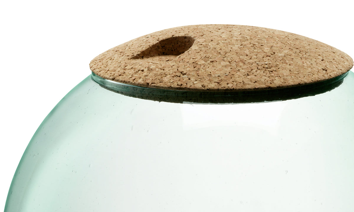 A close-up of the lsa-international Closed Garden, a dome-shaped clear glass planter with a round cork lid featuring a thumb-sized indent.