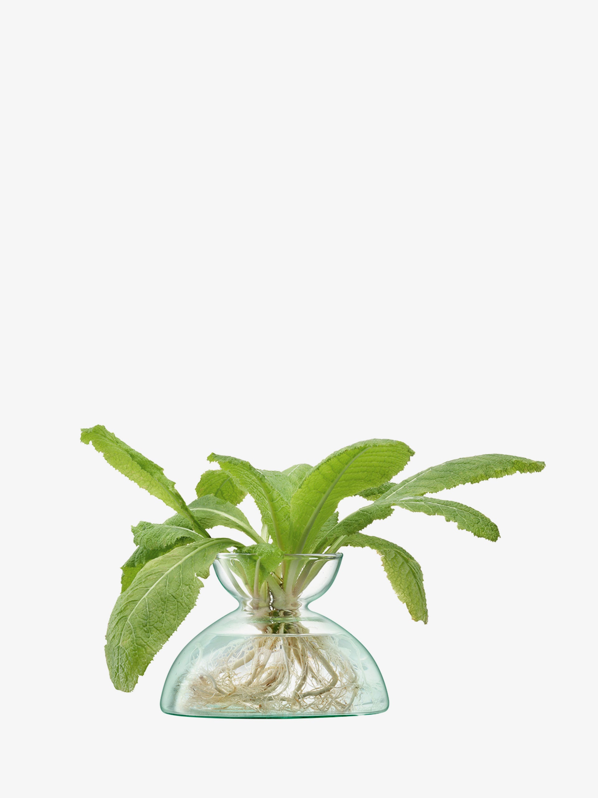 small