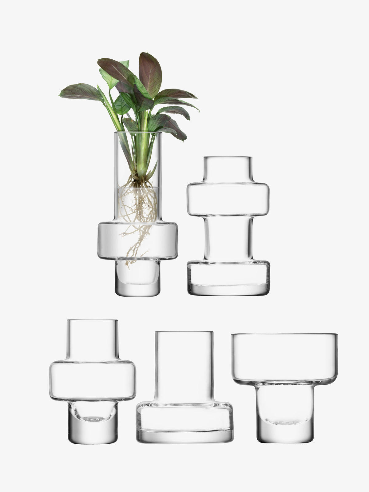 Five Mini Vase Set featuring five mouth-blown, clear glass vases of varying geometric shapes, one containing a small plant with visible roots.