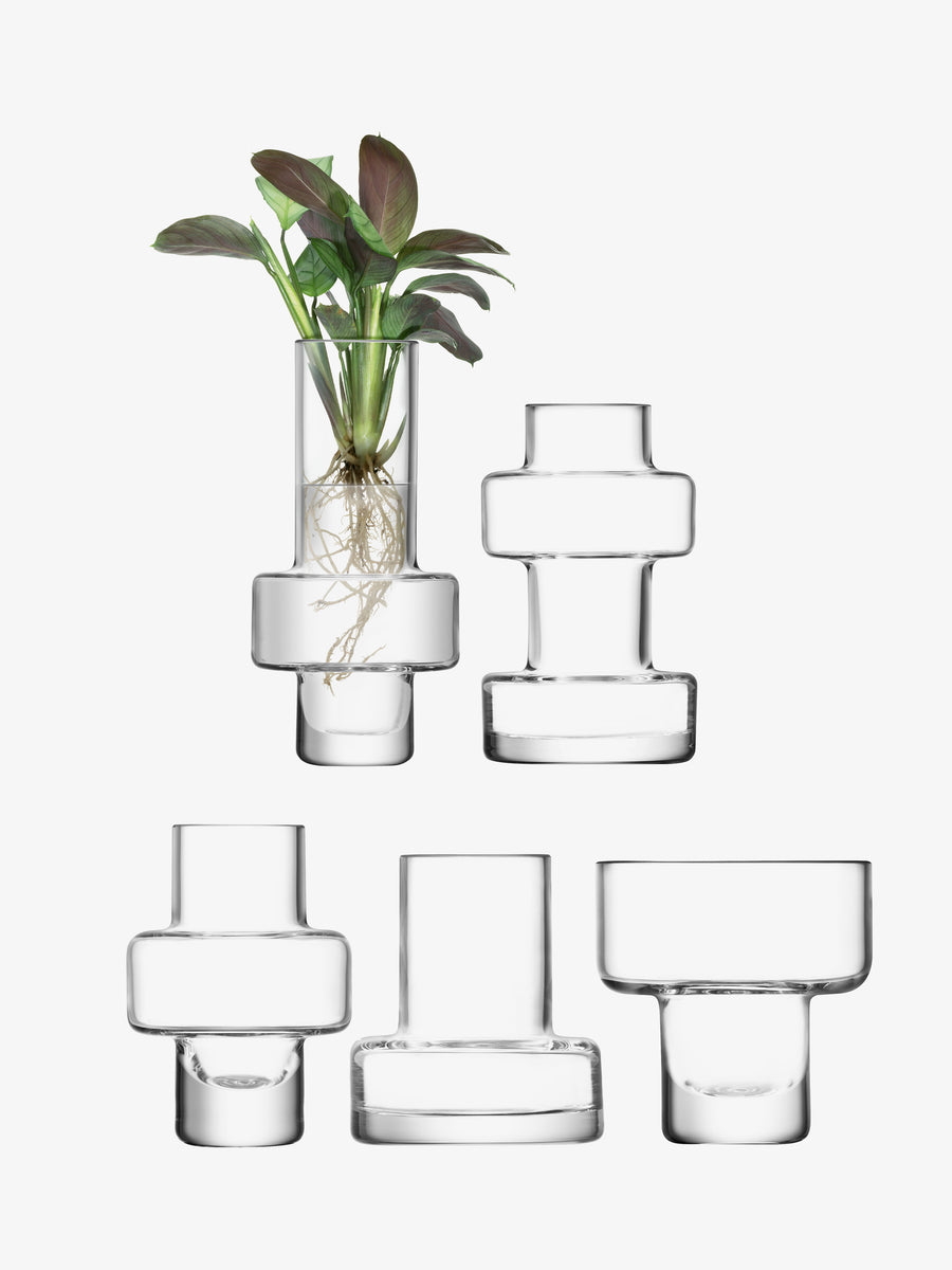 Five Mini Vase Set featuring five mouth-blown, clear glass vases of varying geometric shapes, one containing a small plant with visible roots.