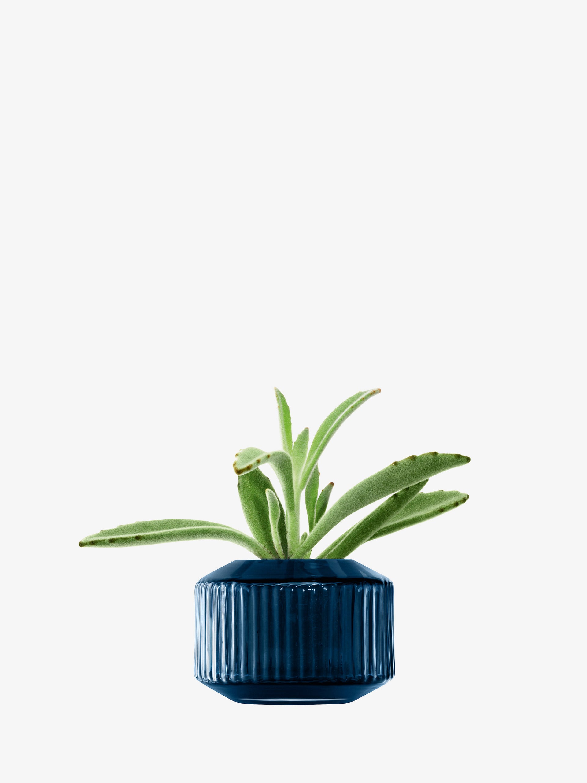 small