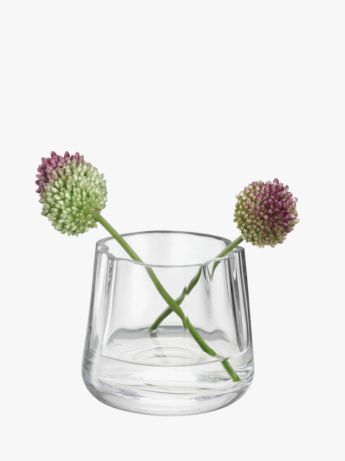Two allium flowers in a clear glass LSA-International Tealight Holder/Vase.