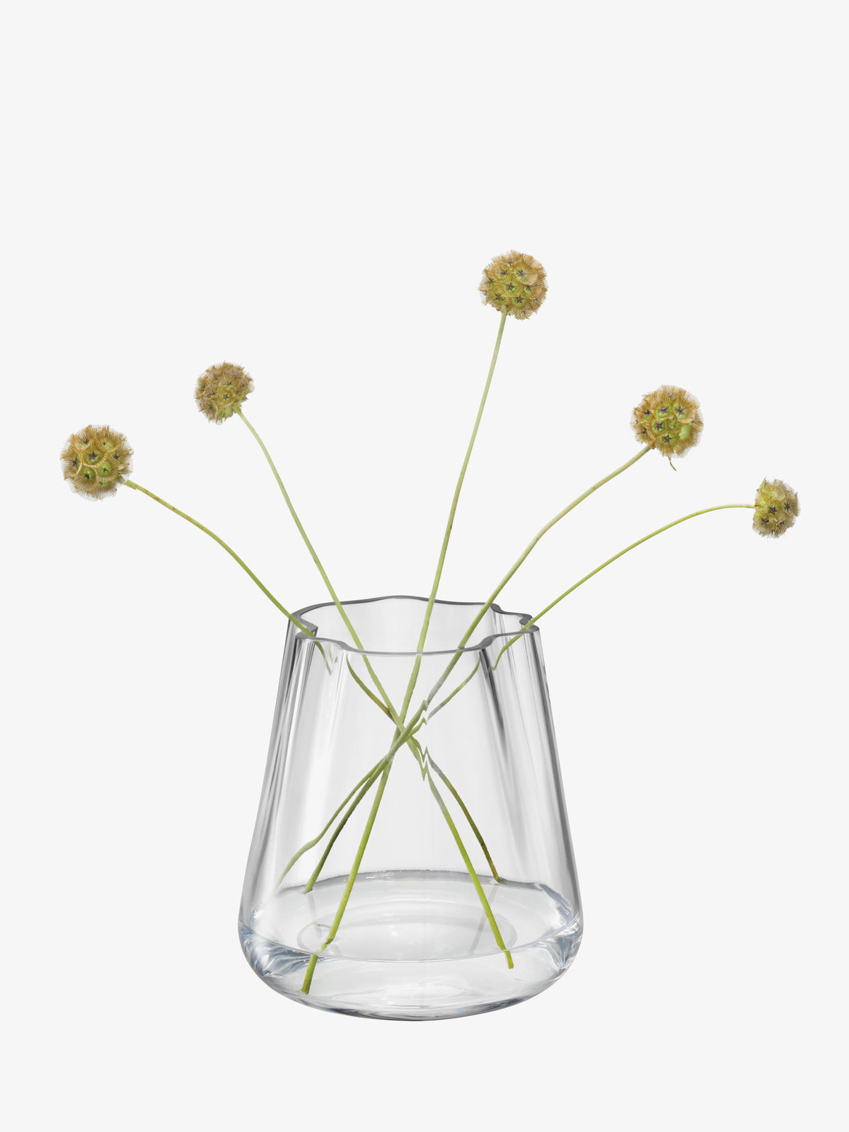 LSA International Vase/Lantern, a mouth-blown glass vessel containing five stems of small, round dried flowers with an organic form.
