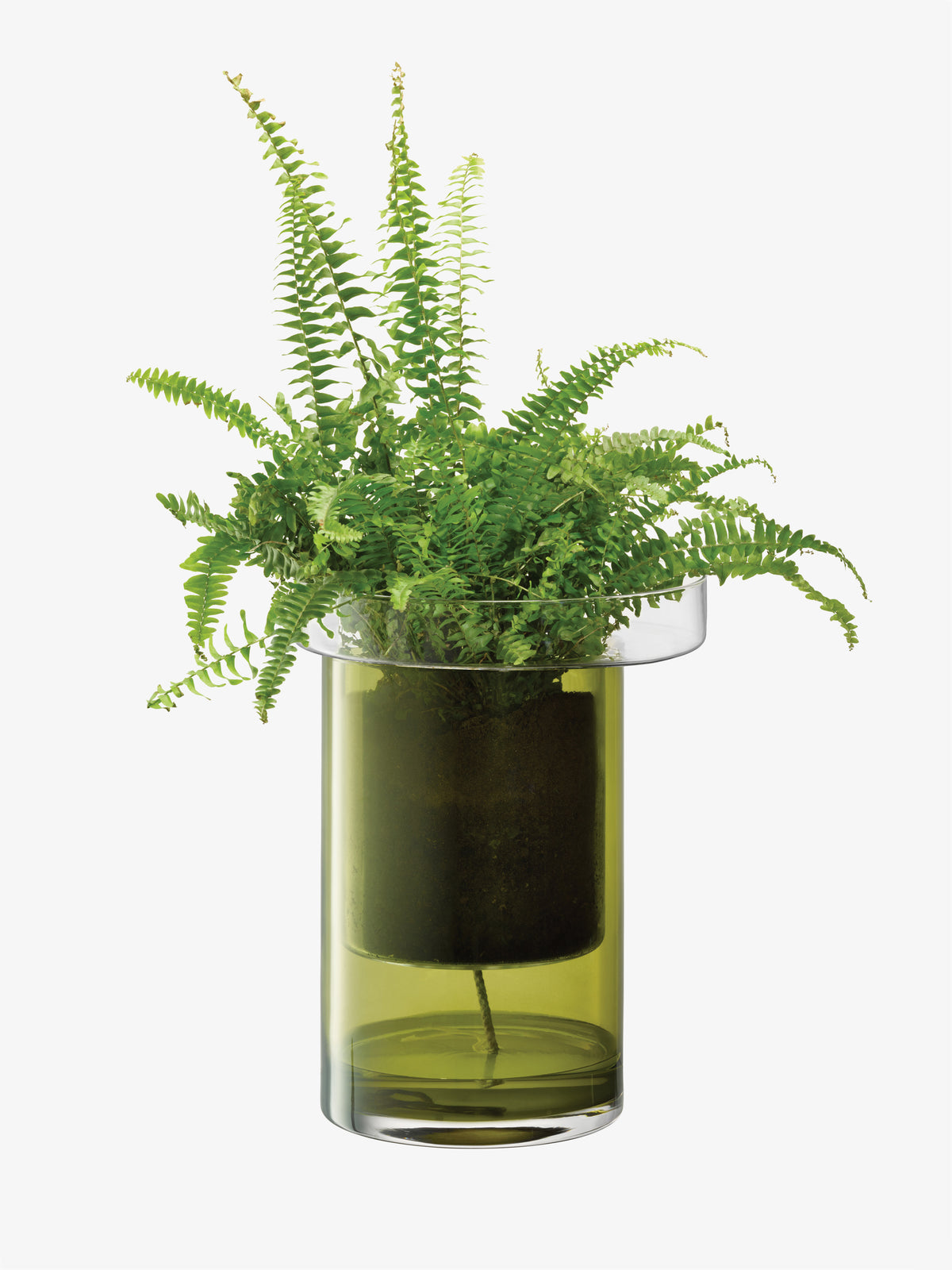 A fern in an LSA International Self Watering Planter, featuring a glass vessel with an internal green reservoir.