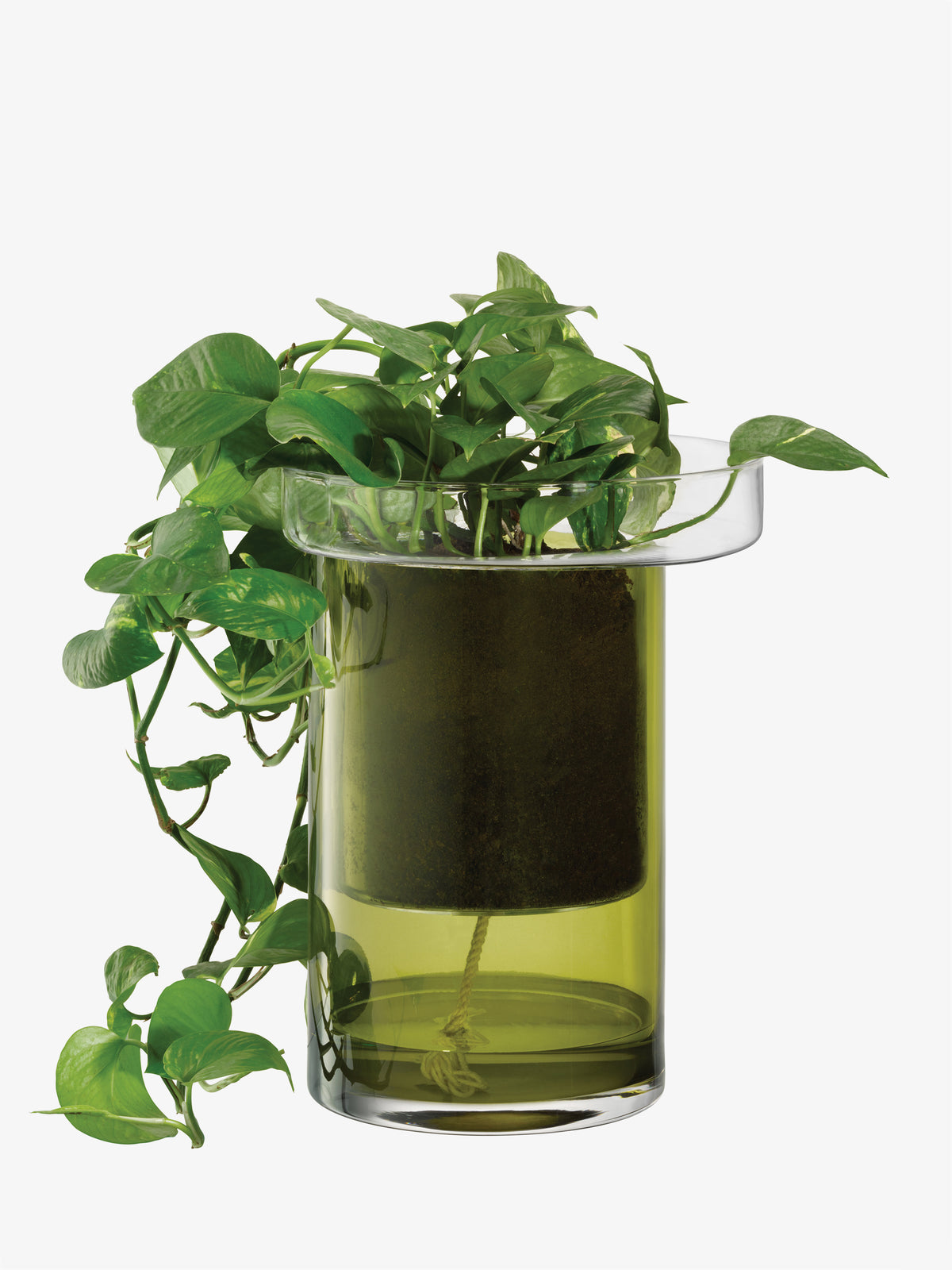 A green leafy plant grows in a green lsa-international Self Watering Planter with a submerged wick.