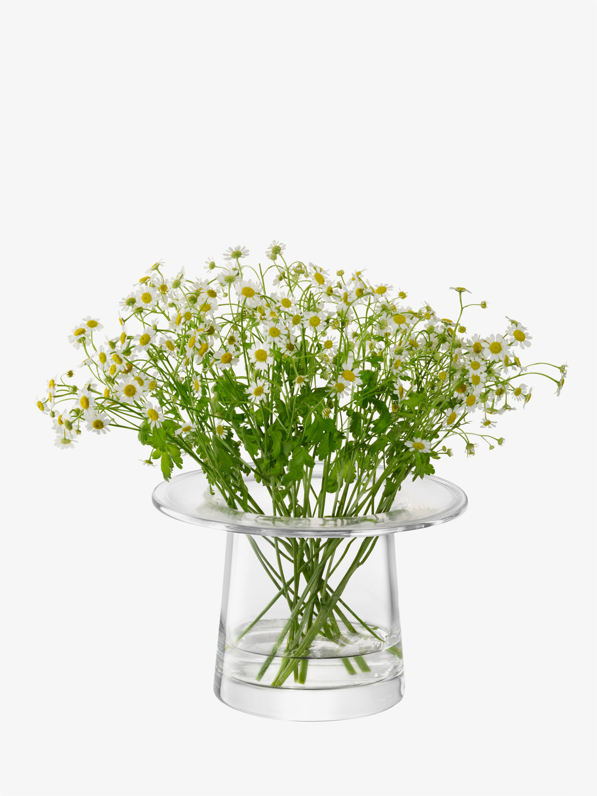 A bouquet of chamomile flowers in a contemporary, mouth-blown Vase/Lantern by LSA International with a wide, flat rim.