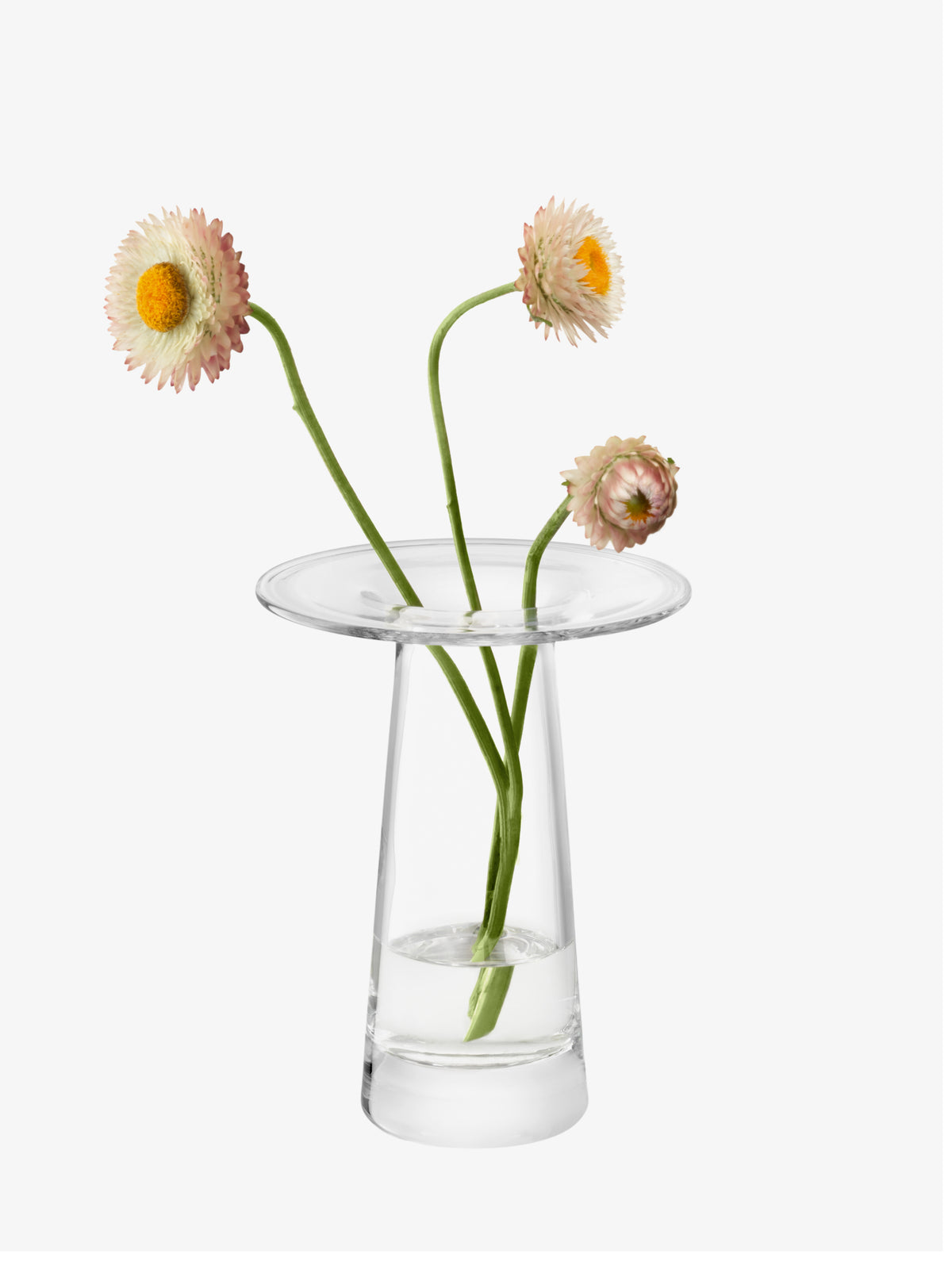 Mouth-blown, clear glass LSA International Vase with a wide rim containing three strawflowers.