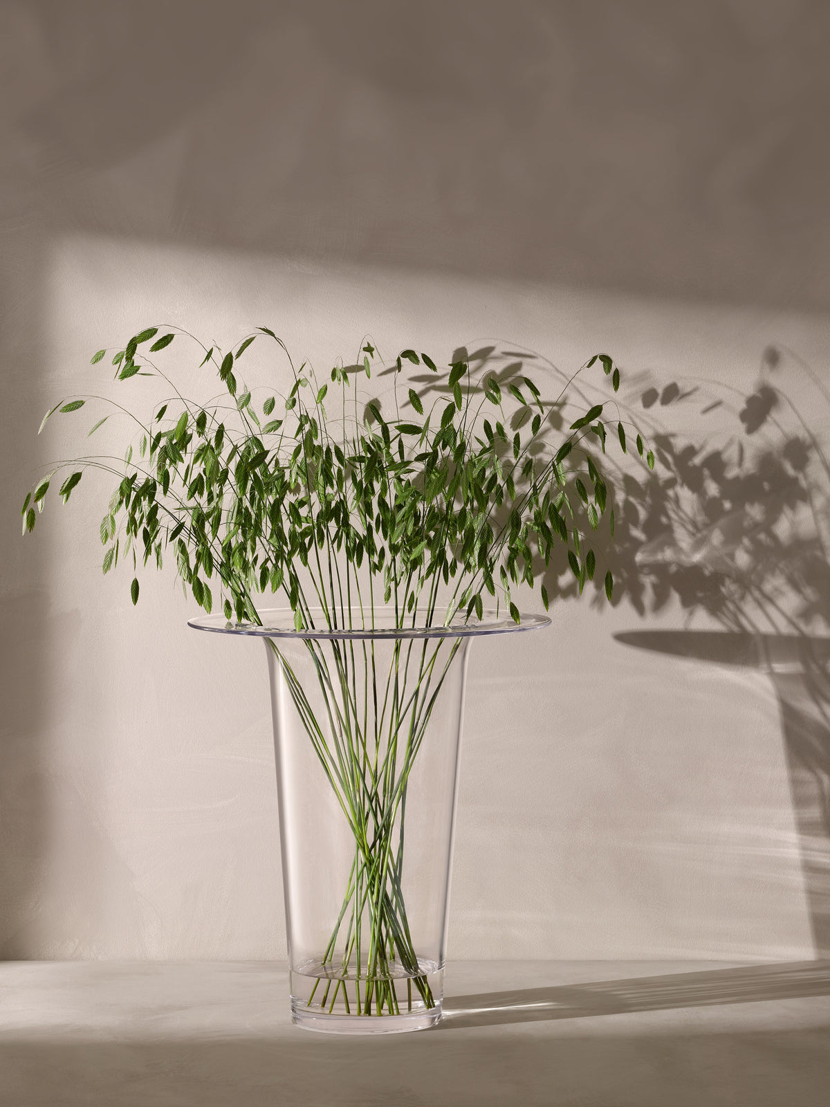 A tall, contemporary LSA International Vase/Lantern holding a cluster of green grass stems.