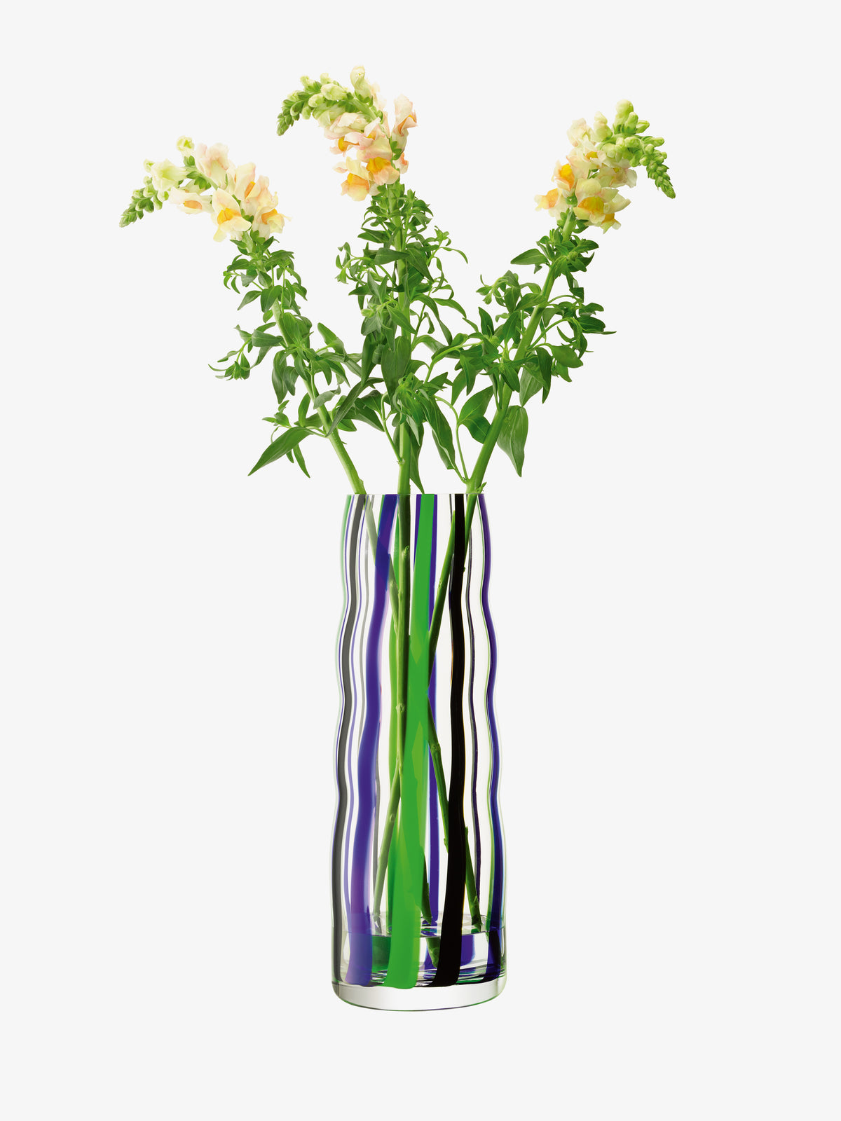 Three yellow snapdragons with green stems in the lsa-international Vase. Its rippled, clear glass distorts the stems, making a striking centrepiece against a plain white background.