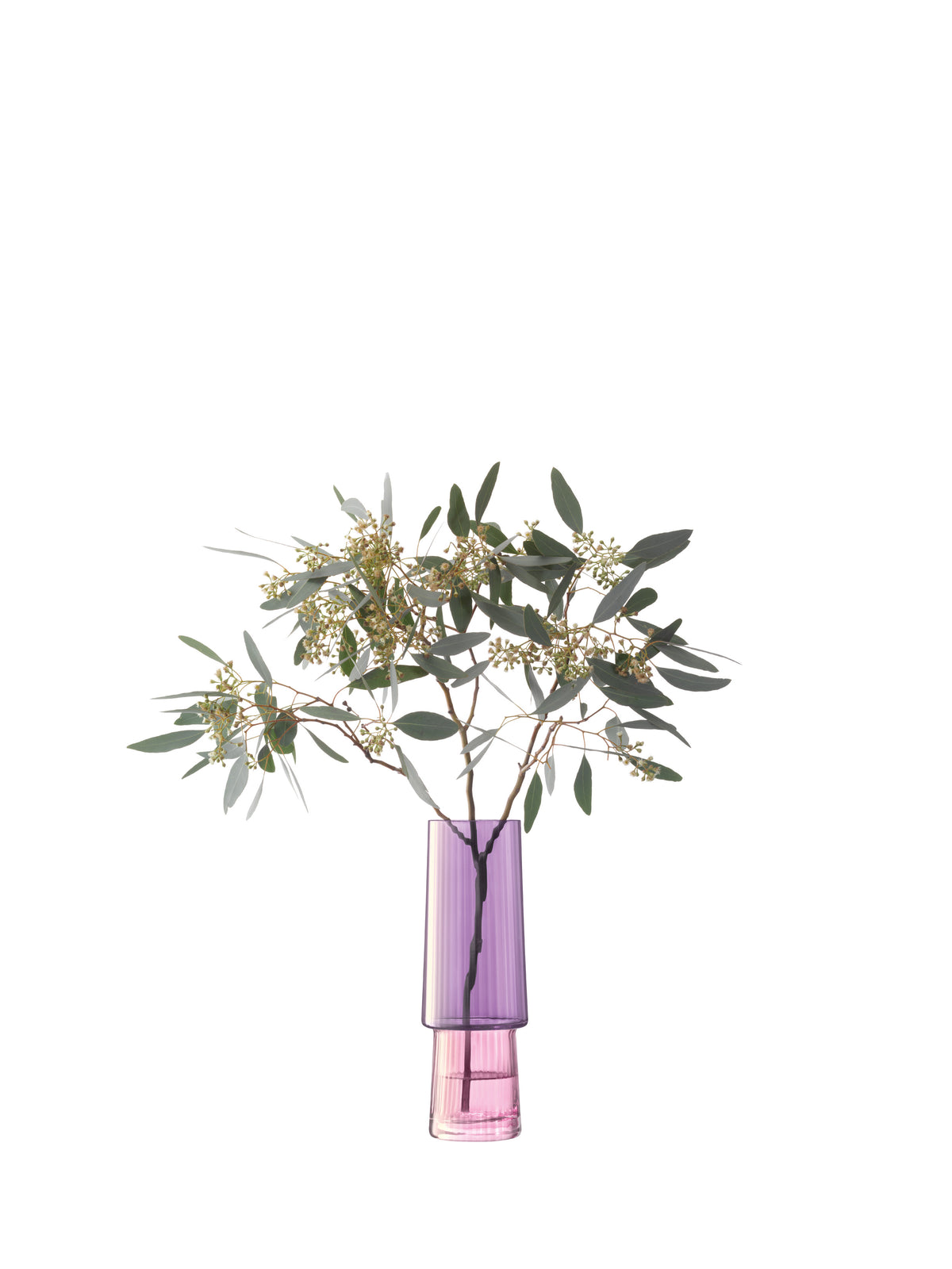 A mouth-blown iridescent glass Vase by lsa-international, tinted purple, holds eucalyptus branches adorned with green leaves and delicate white flowers, set against a crisp white background.