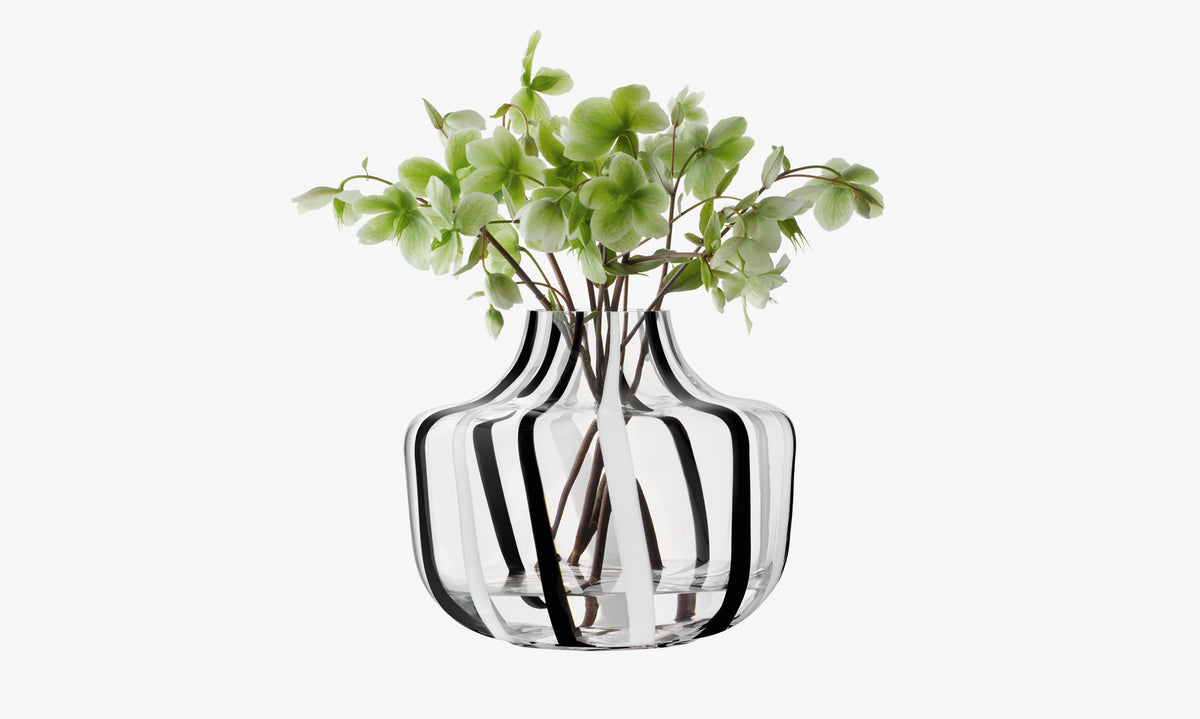 LSA International Vase in clear glass with vertical black stripes, containing a bouquet of pale green hellebore flowers.