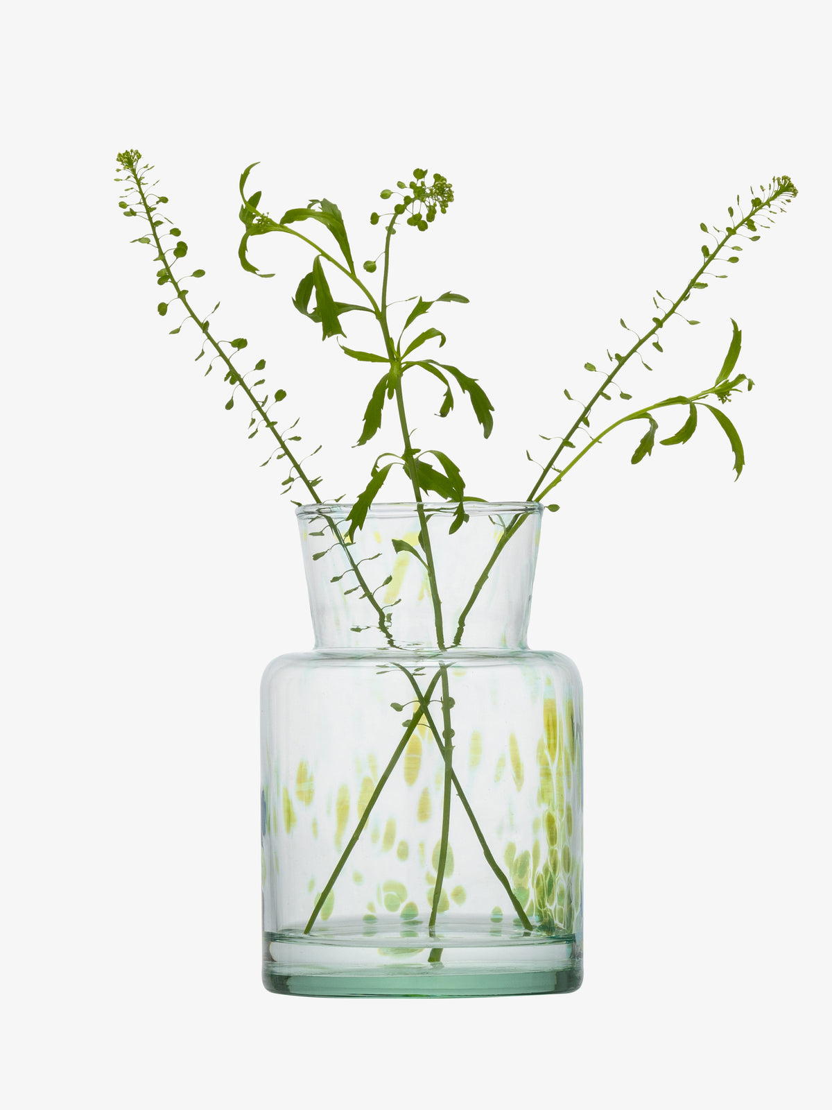 The lsa-international Bud Vase, crafted from clear glass with green speckles reminiscent of sea glass, holds two delicate green stems with small buds and leaves arranged in an X shape against a white background.