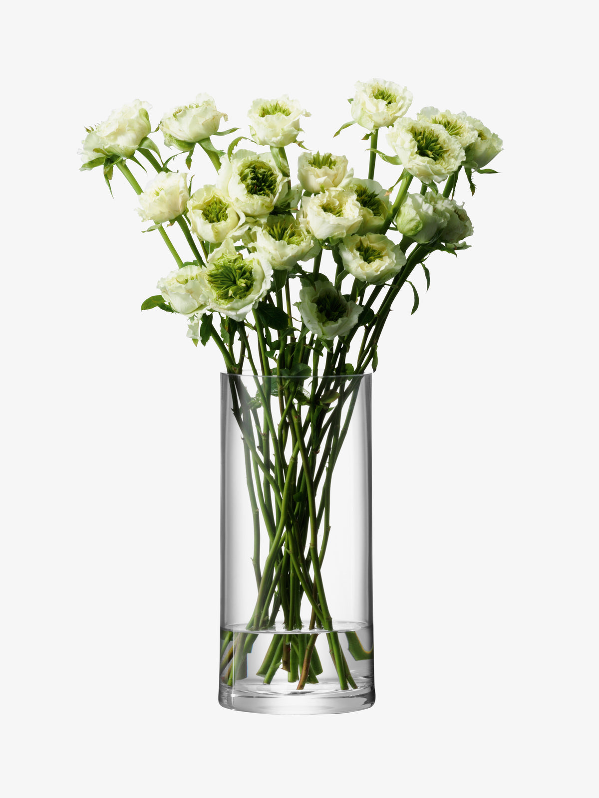 A bouquet of pale green ranunculus flowers in a tall, cylindrical mouth-blown LSA-International vase.