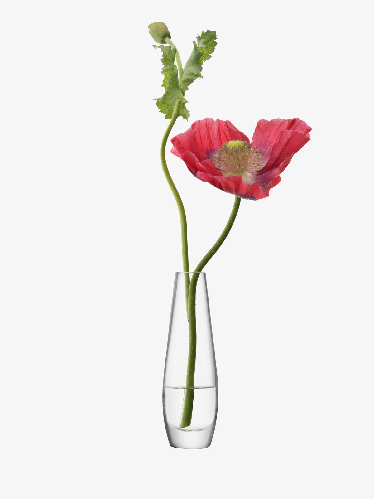 A single stem vase by lsa-international, crafted from clear mouth-blown glass, holds two poppy stems—one featuring a blooming pink flower and the other a closed green bud—with a small amount of water inside, set against a white background.