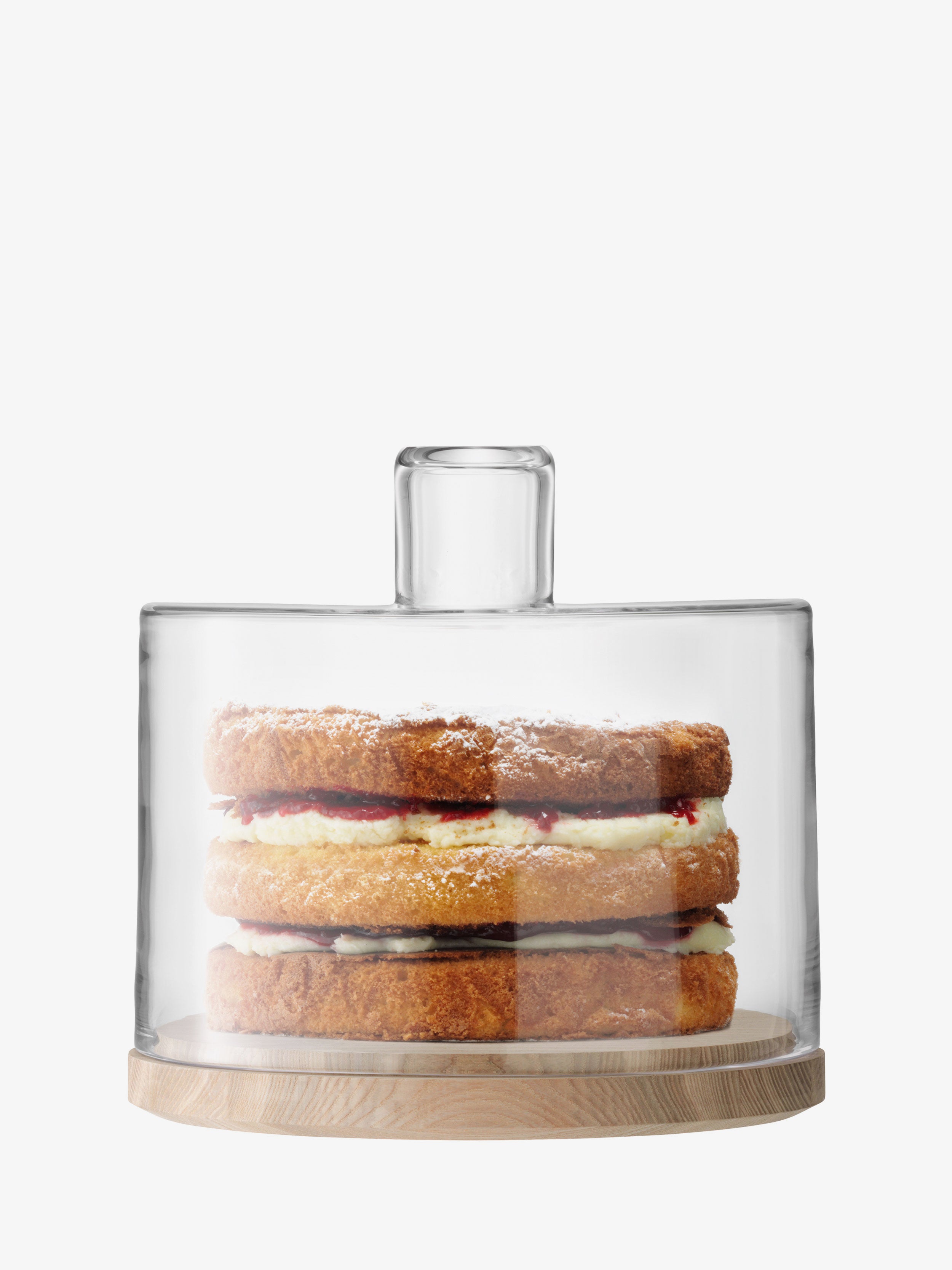 Lotta Cake/Cheese Dome | LSA International