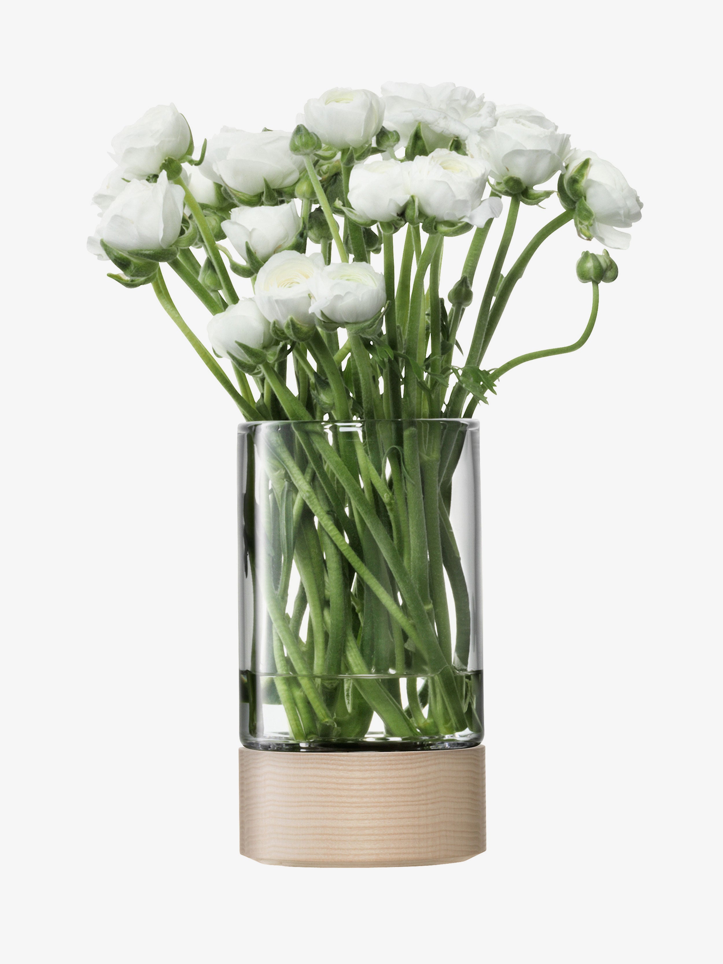 Lotta Lantern | LSA International