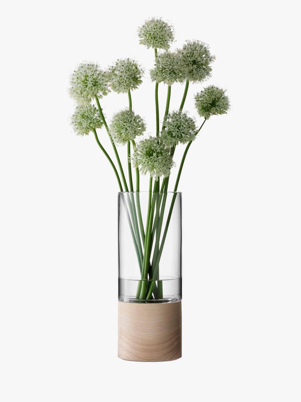 A clear, mouth-blown lsa-international Vase with an ash base holds green stems topped with round clusters of small white flowers, all set against a plain white background.