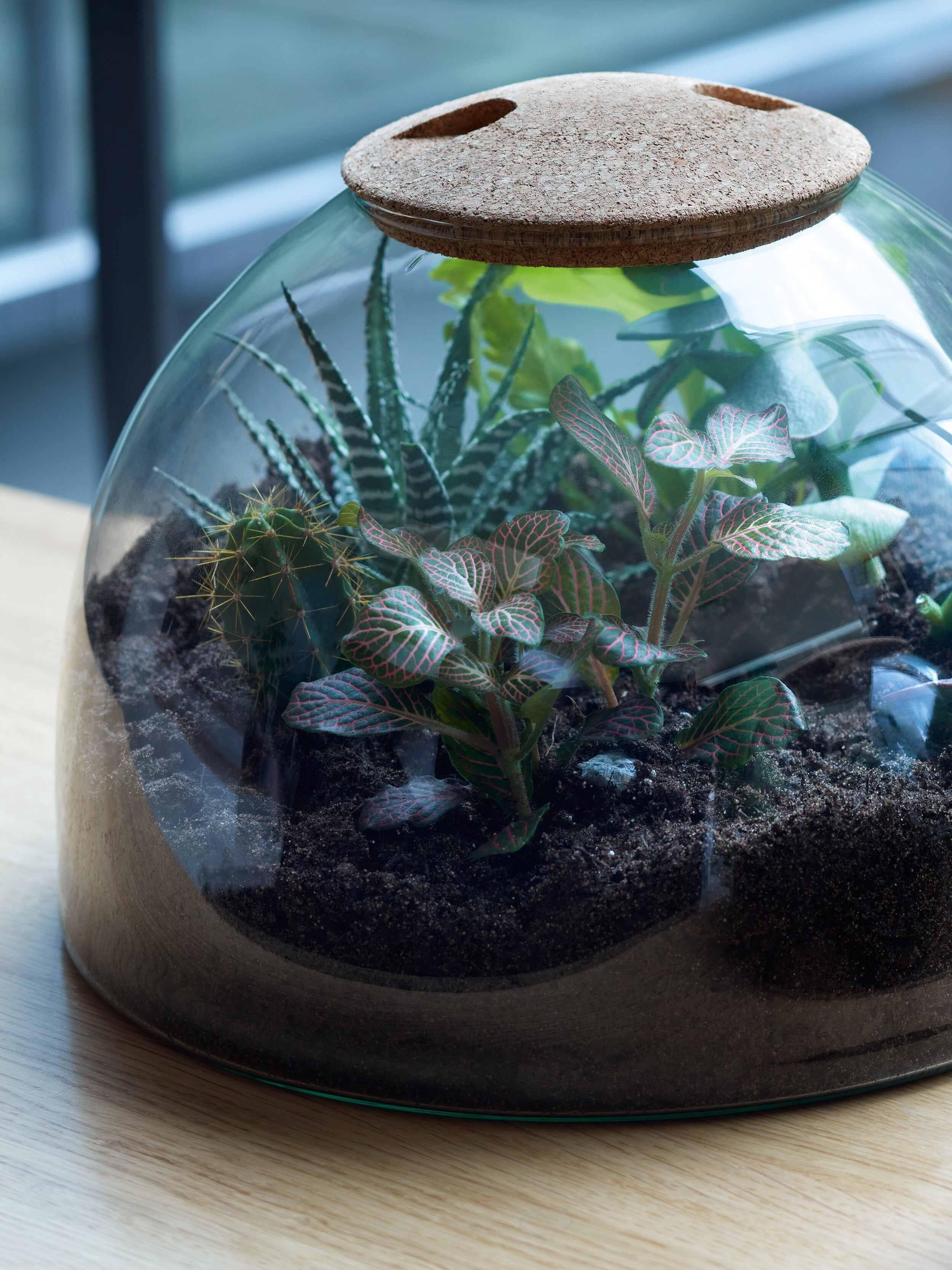 Canopy Closed Garden - Thumbnail 5