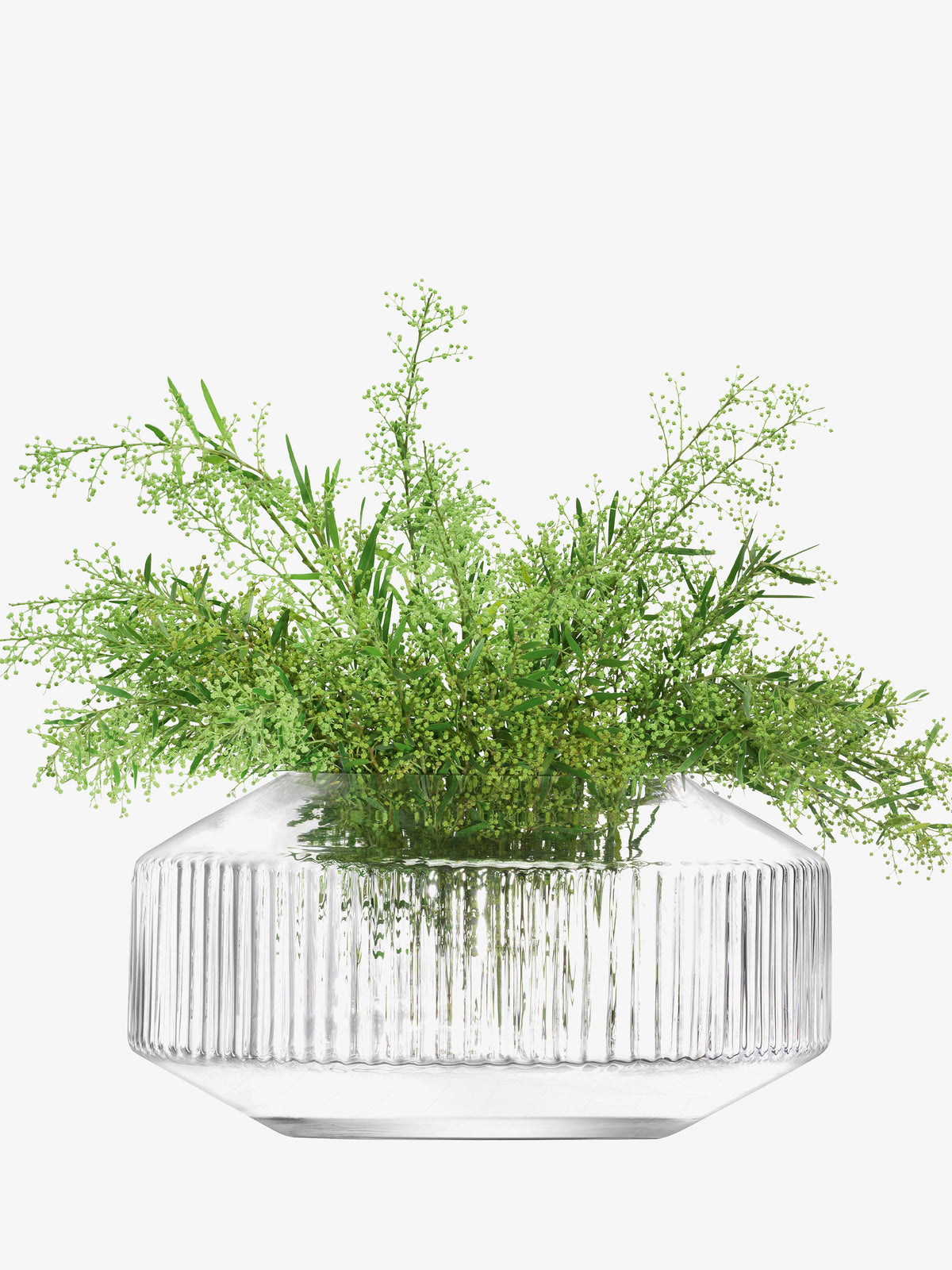 An LSA International Wide Vase with a fluted, corrugated texture is filled with green sprigs and foliage.