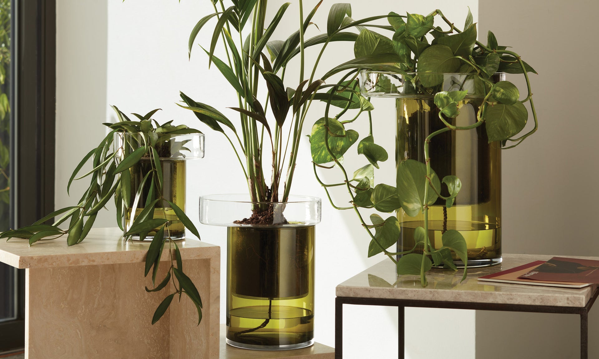 Self Watering Planter