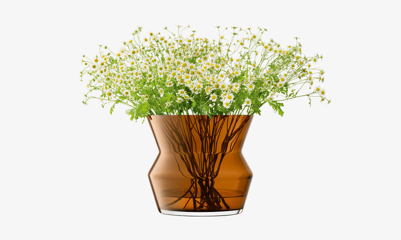 Vase/Lantern