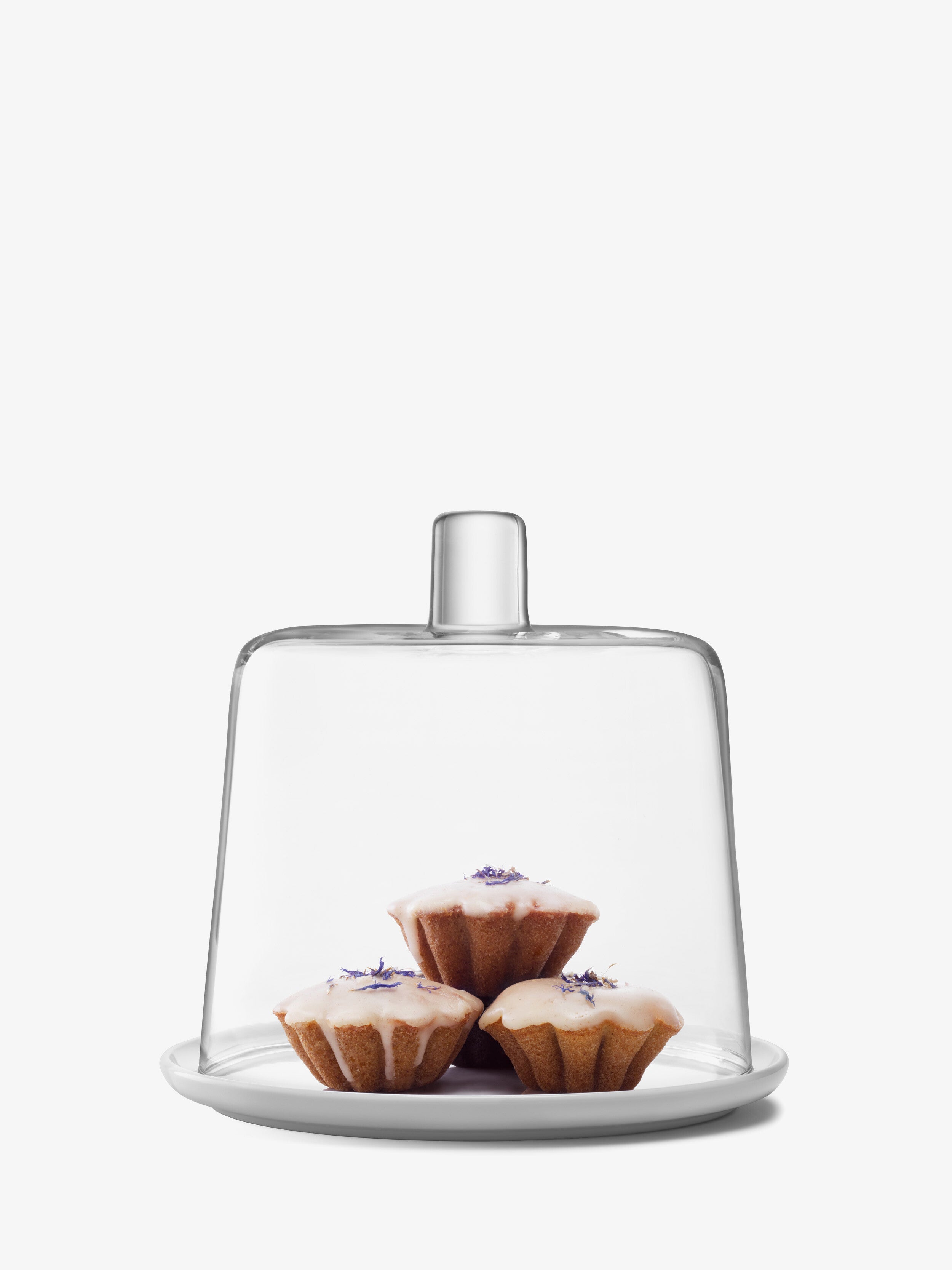 Collective Cheese/Cake Dome | LSA International