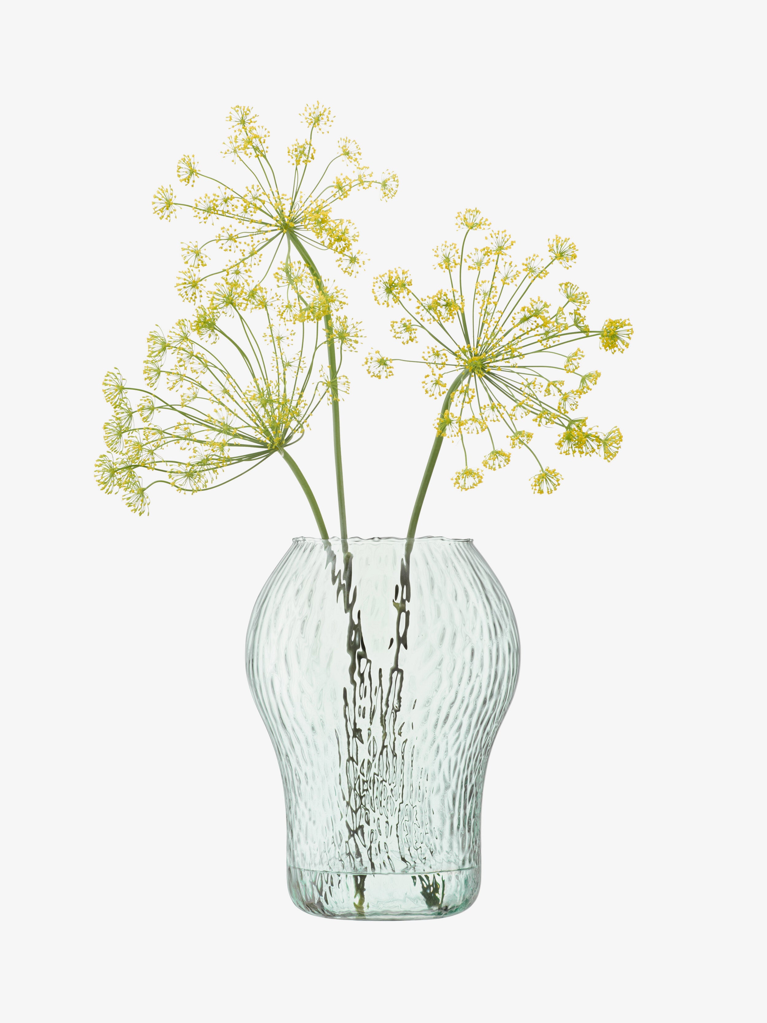 Canopy Seed Vase | LSA International