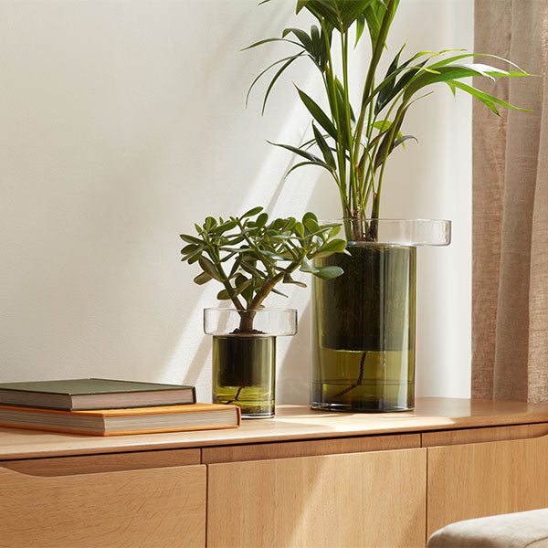 Two clear LSA Balcony glass planters with dark green translucent bodies holding green houseplants, styled on a wooden console table against a warm beige wall with curtains.