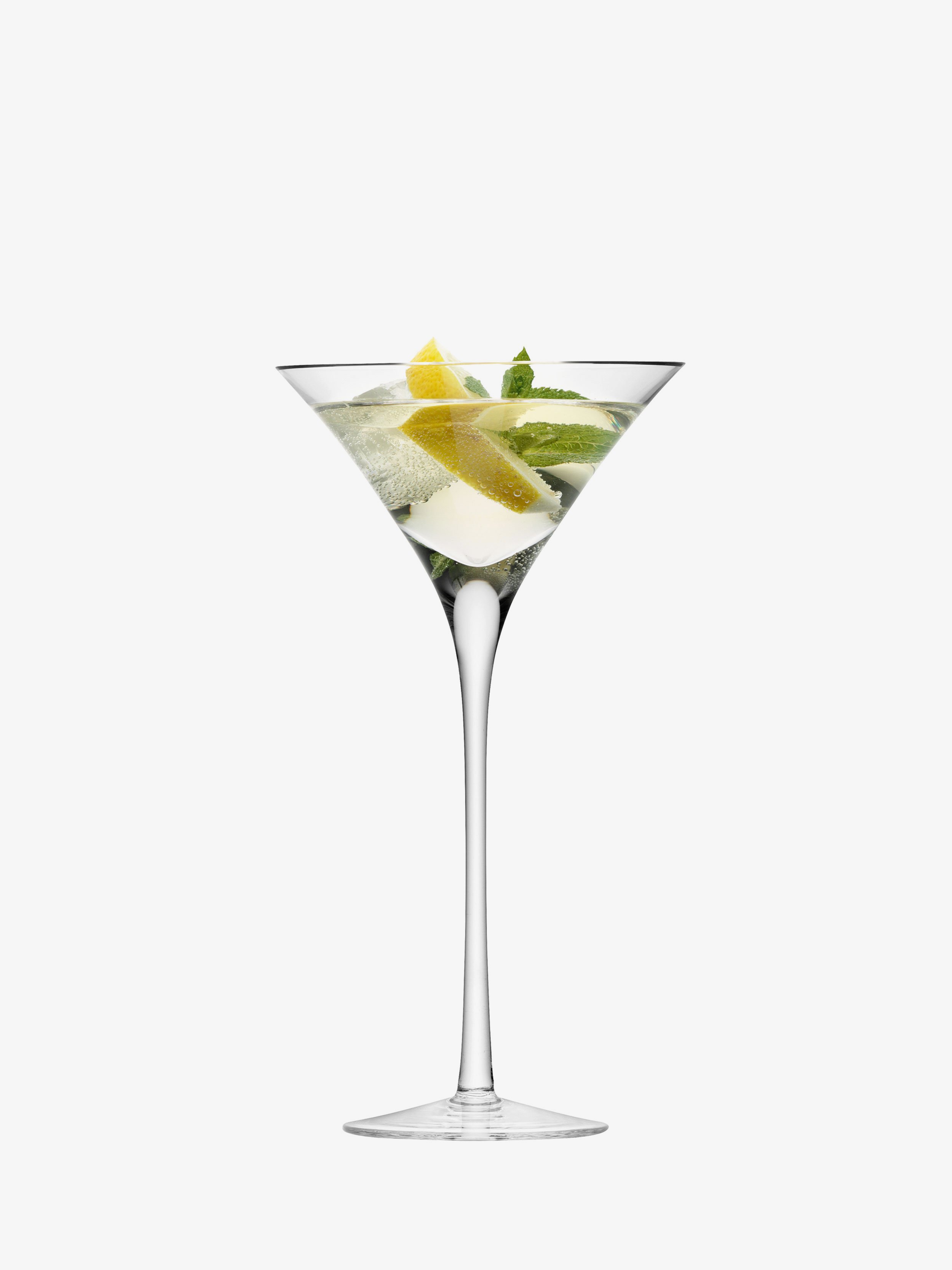 His & Hers Stainless Steel Martini Bar Glass Set with Hard Carry